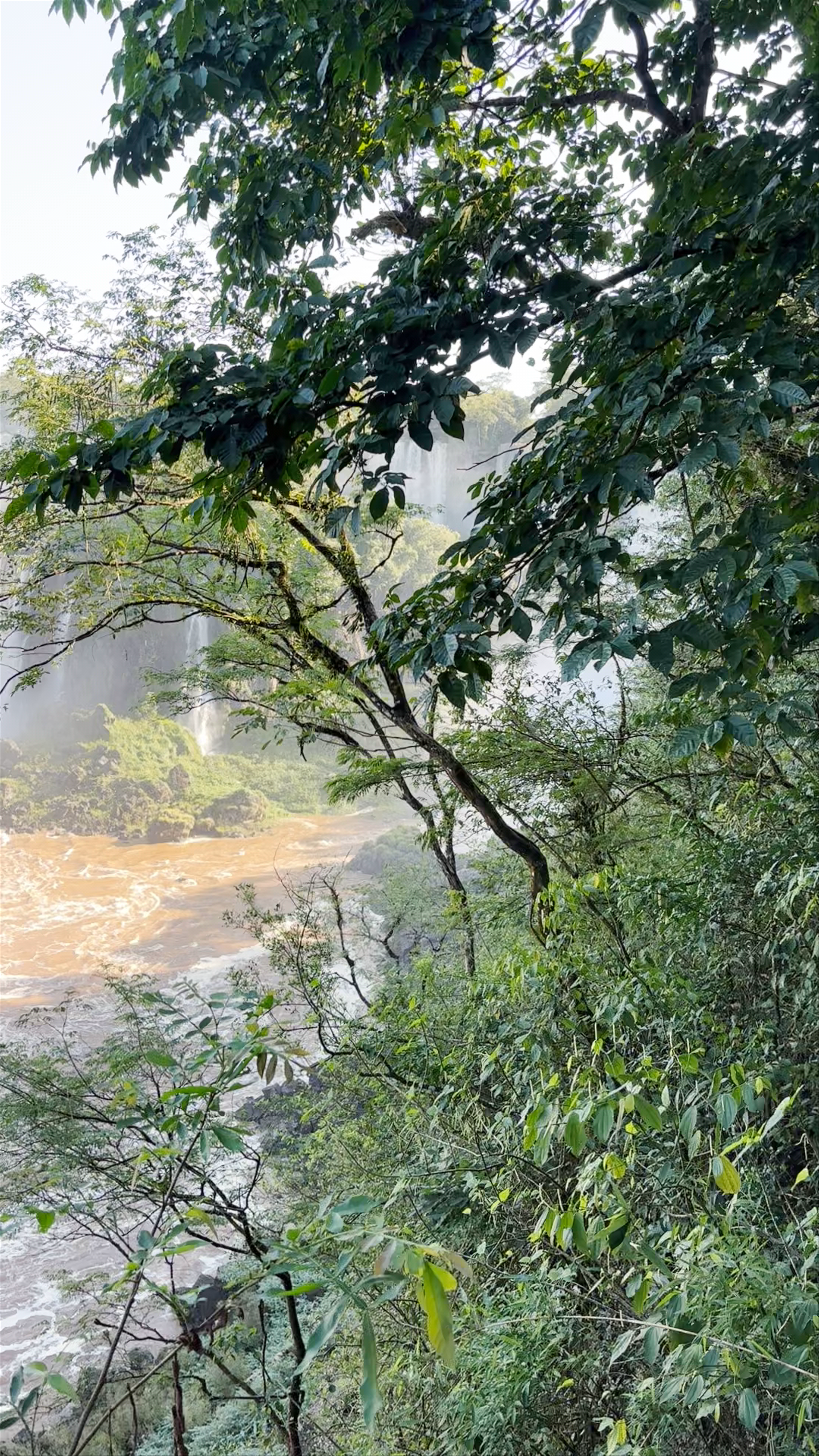 Parque Nacional Iguazú