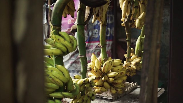 Free India Stock Video Footage Royalty Free Video Download Coverr Free India Stock Video Footage Royalty Free Video Download Coverr