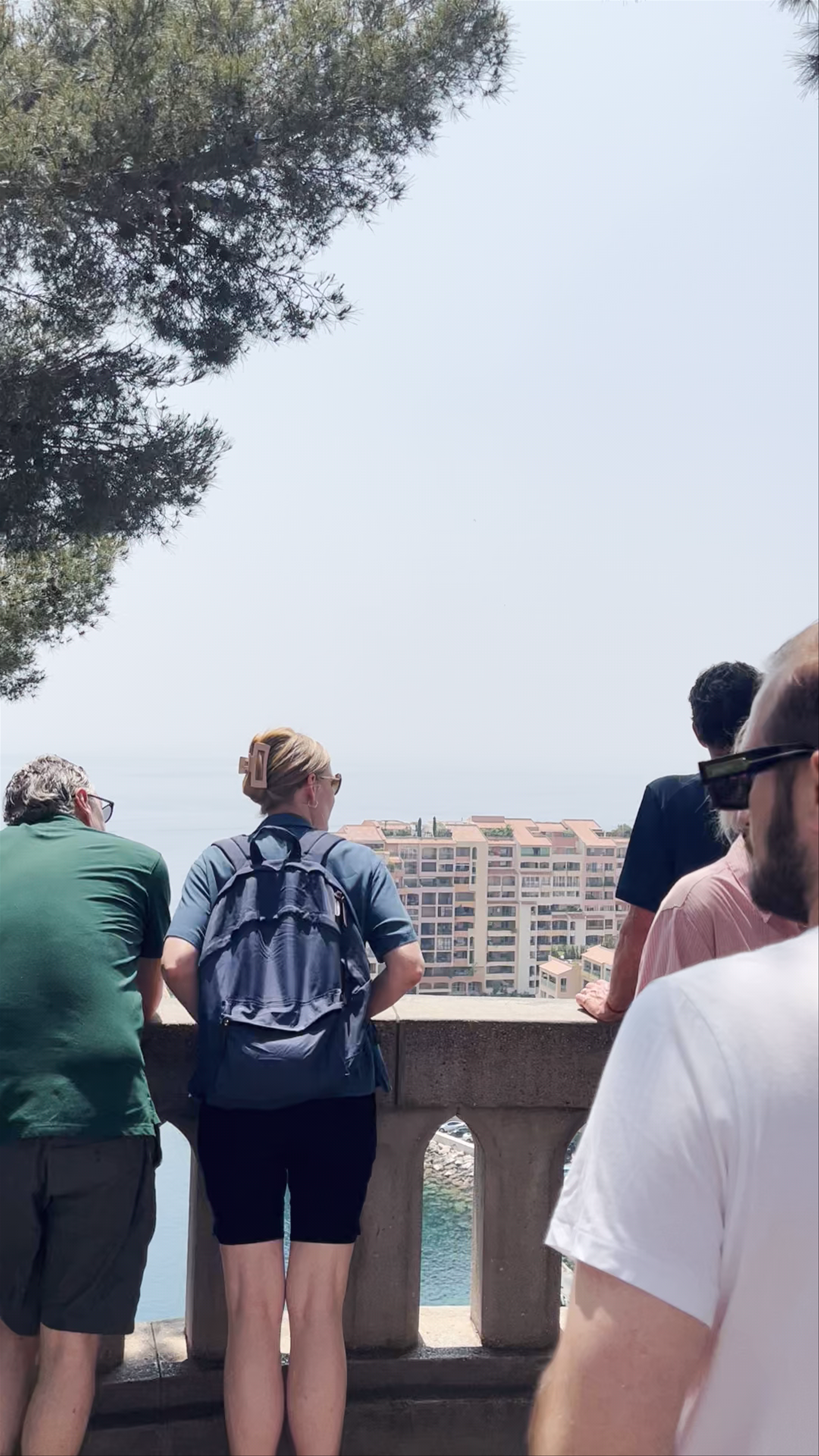 Point de Vue Port de Fontvieille