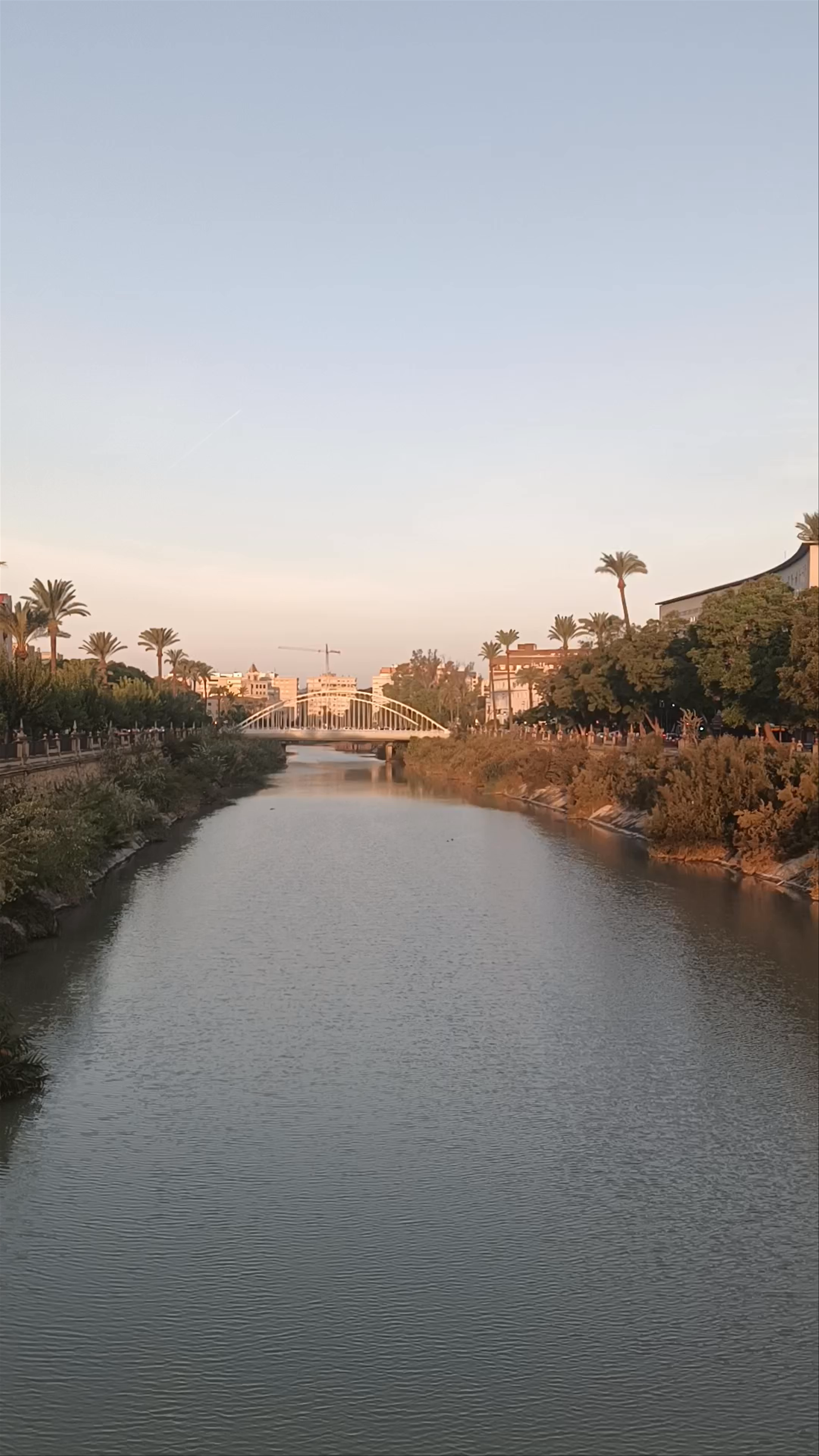 Serene Riverside Stroll Along Rio Segura in Murcia