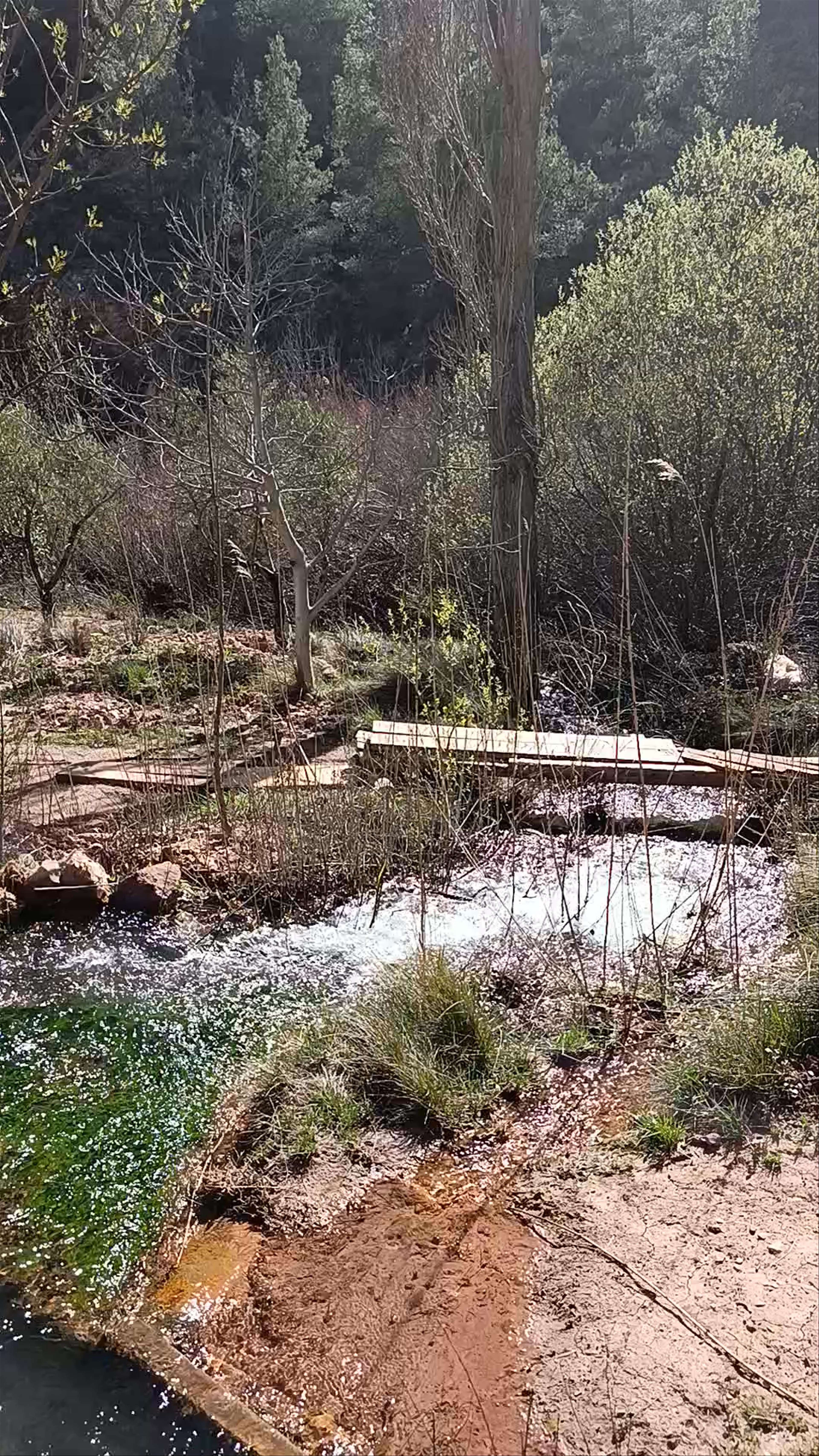 Nuevo puente colgante del Río Bogarra