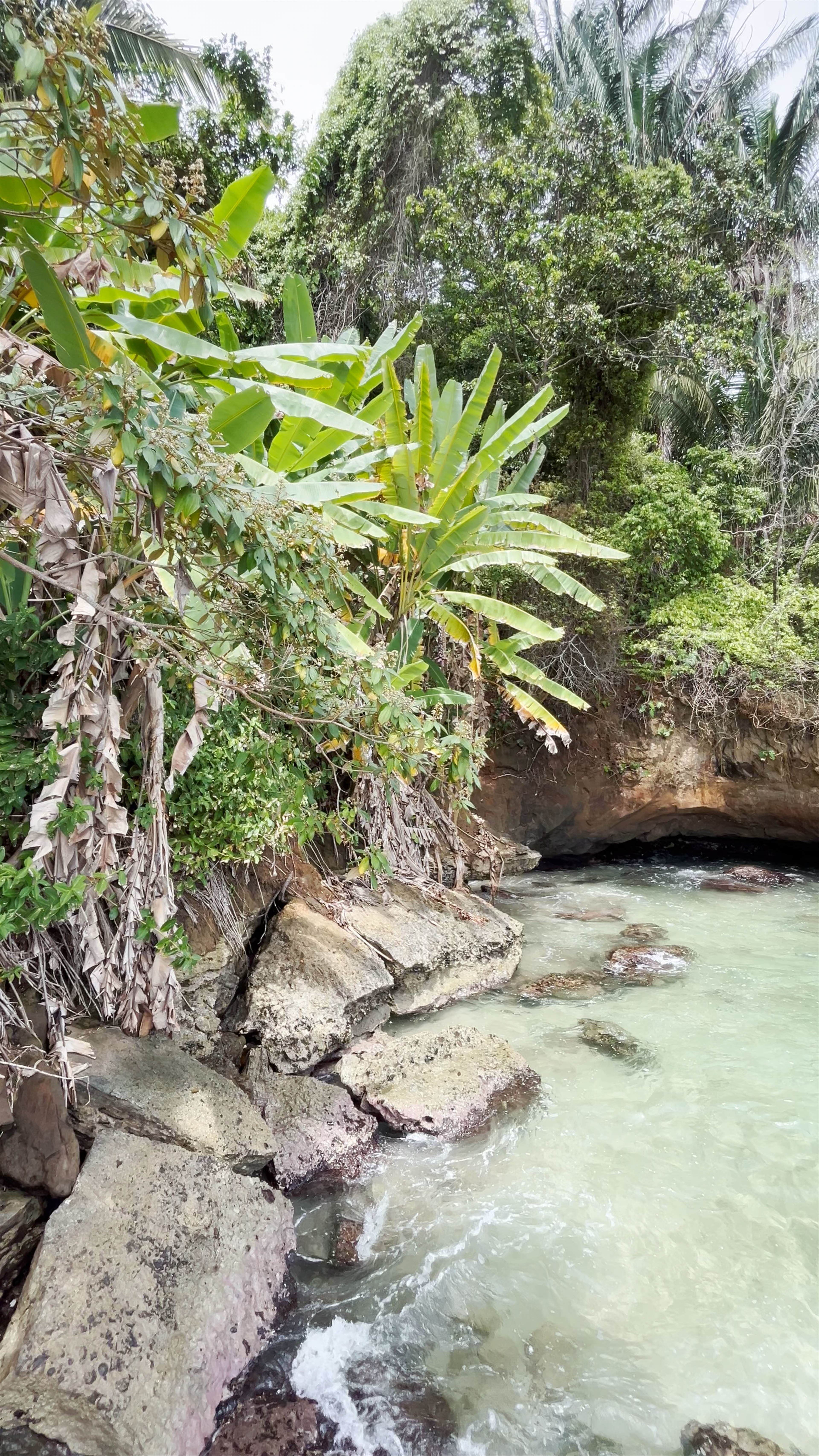 Cueva Punta Uva: Tropical Coastal Serenity in Costa Rica
