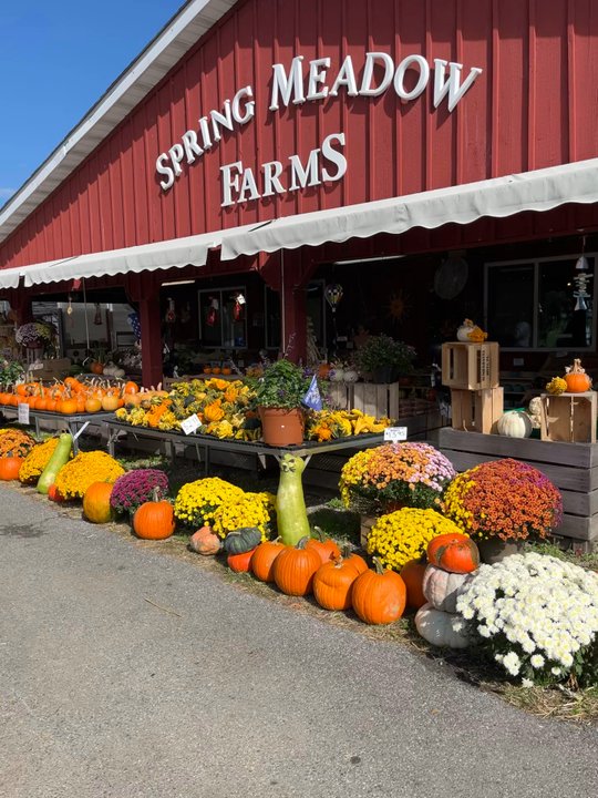 Spring Meadows Farm - Attraction Farms Near Me - Upperco, Maryland