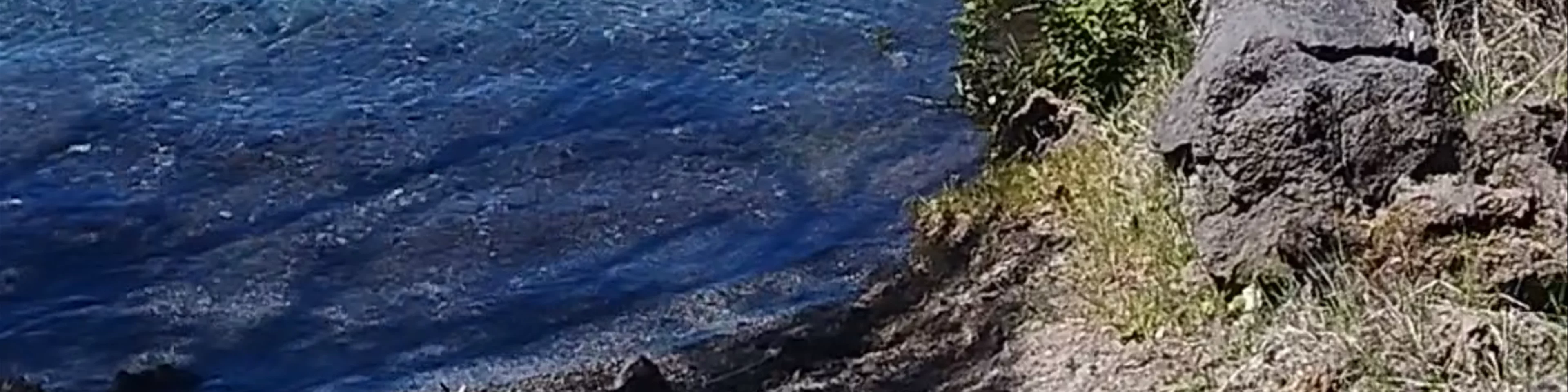 Playa Blanca Caburgua