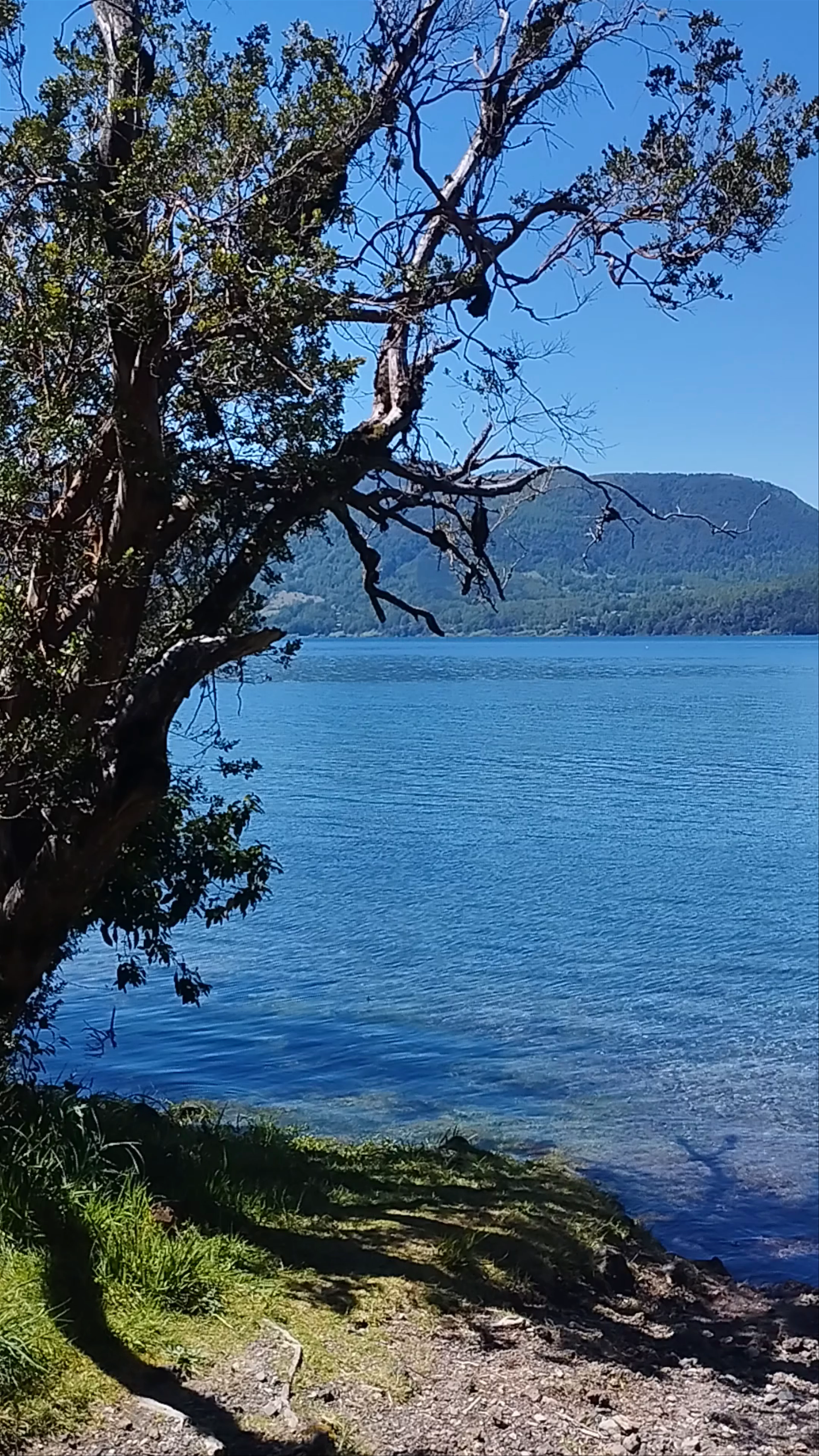 Playa Blanca Caburgua
