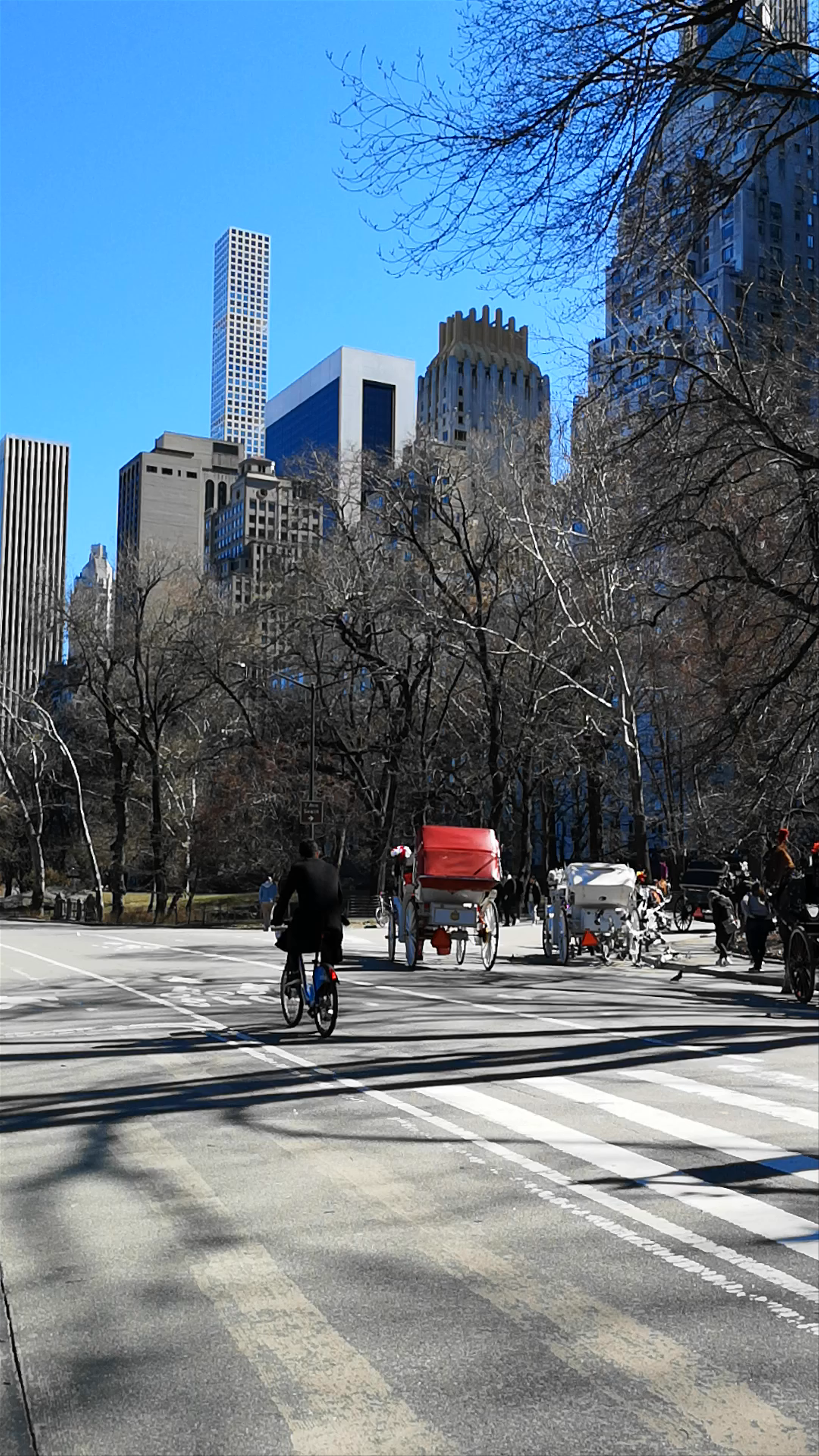 Central Park Spring Ride: Classic Horse-Drawn Carriages in New York City