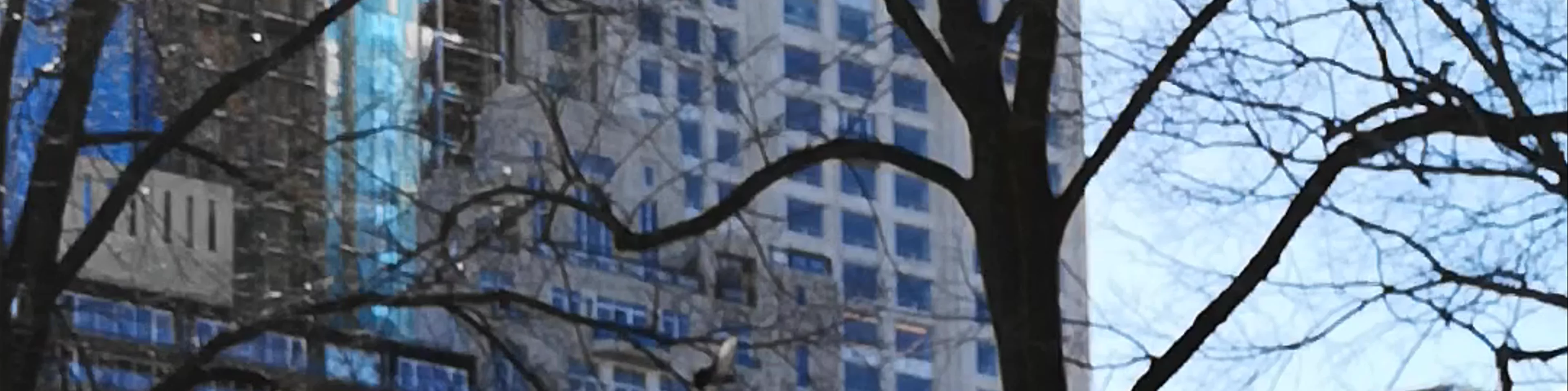 Central Park