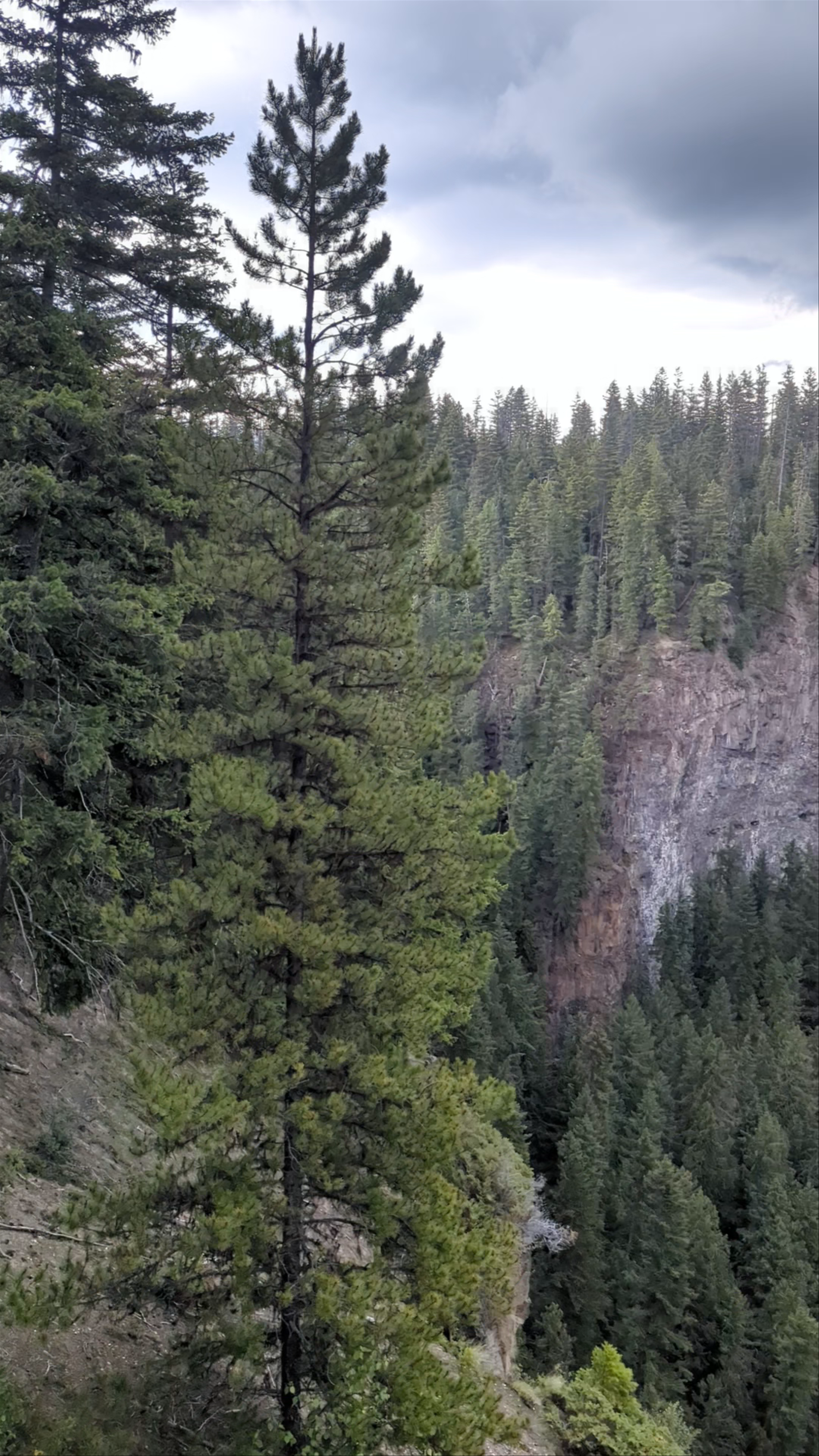 Helmcken Falls