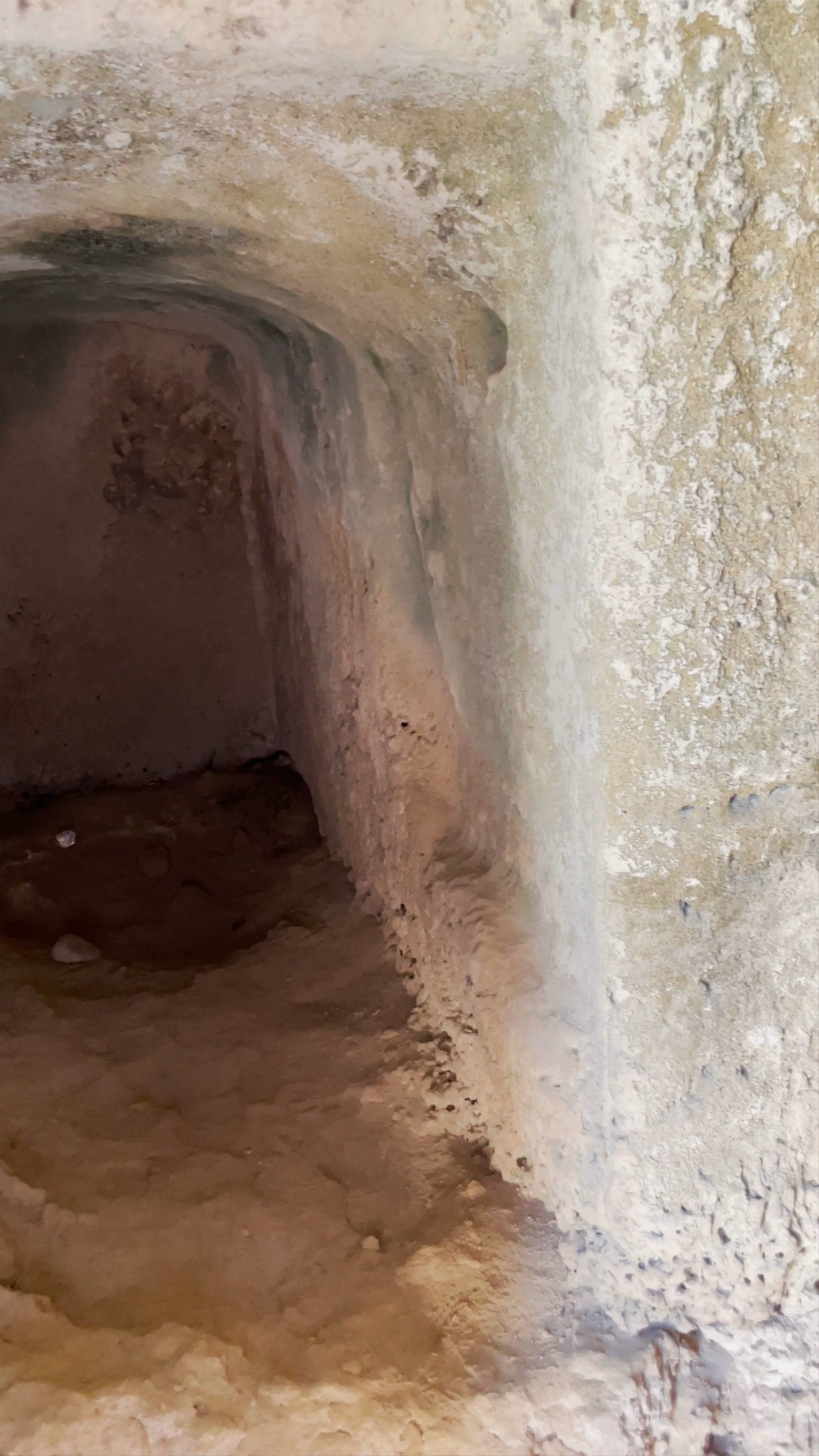 Tomb 7