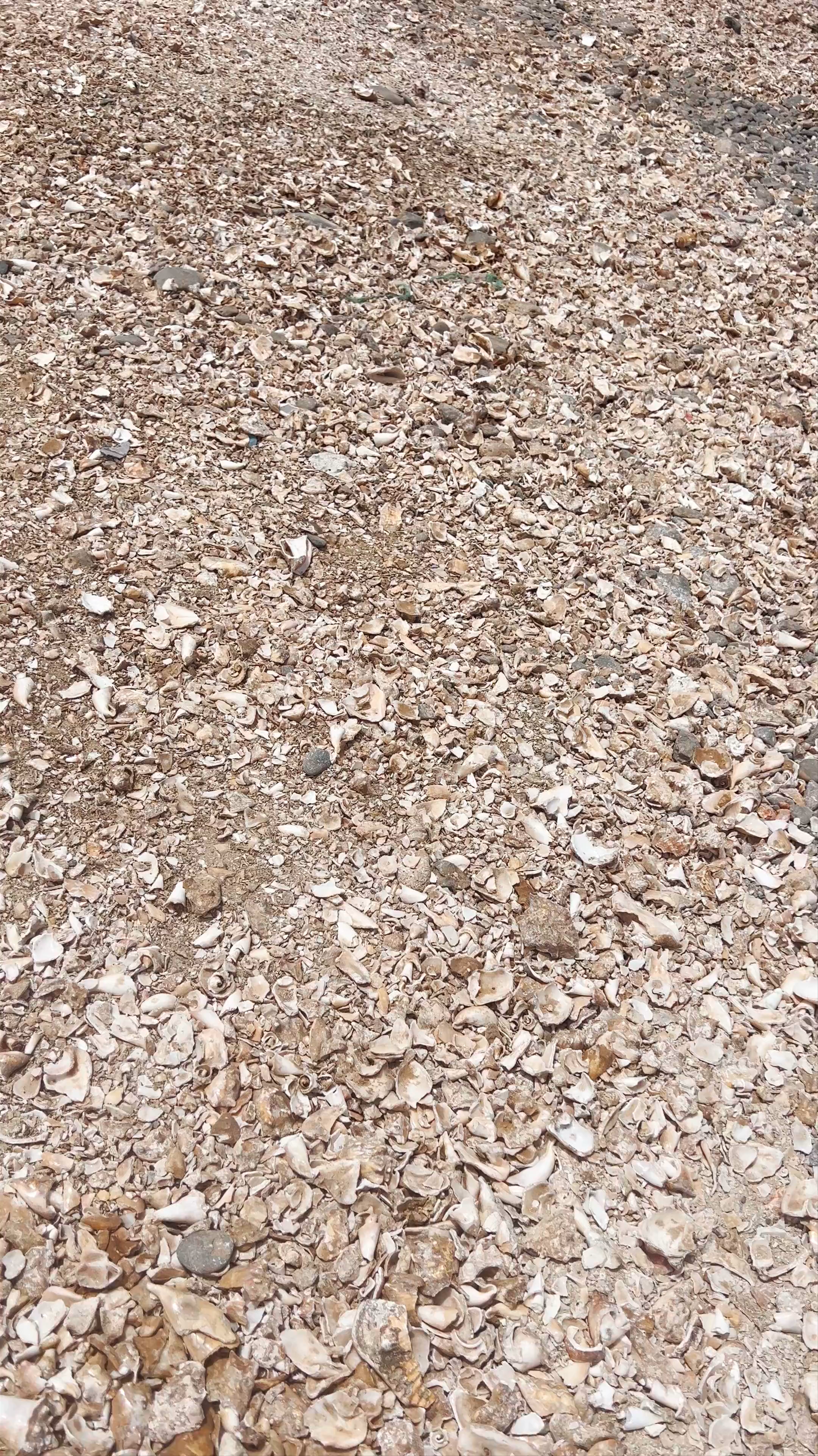 Shell Cemetery Beach