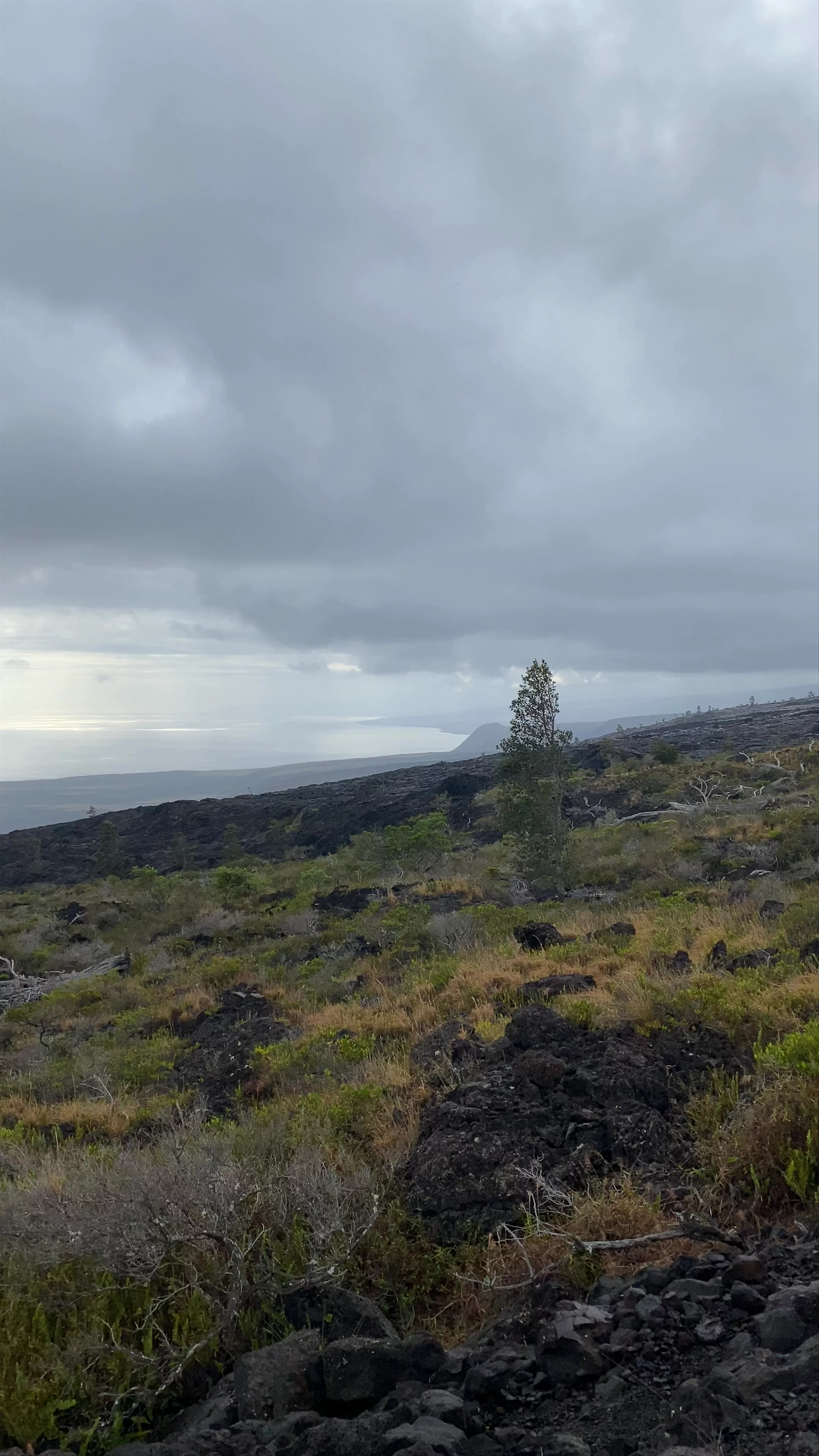 Hawaiian Paradise Park