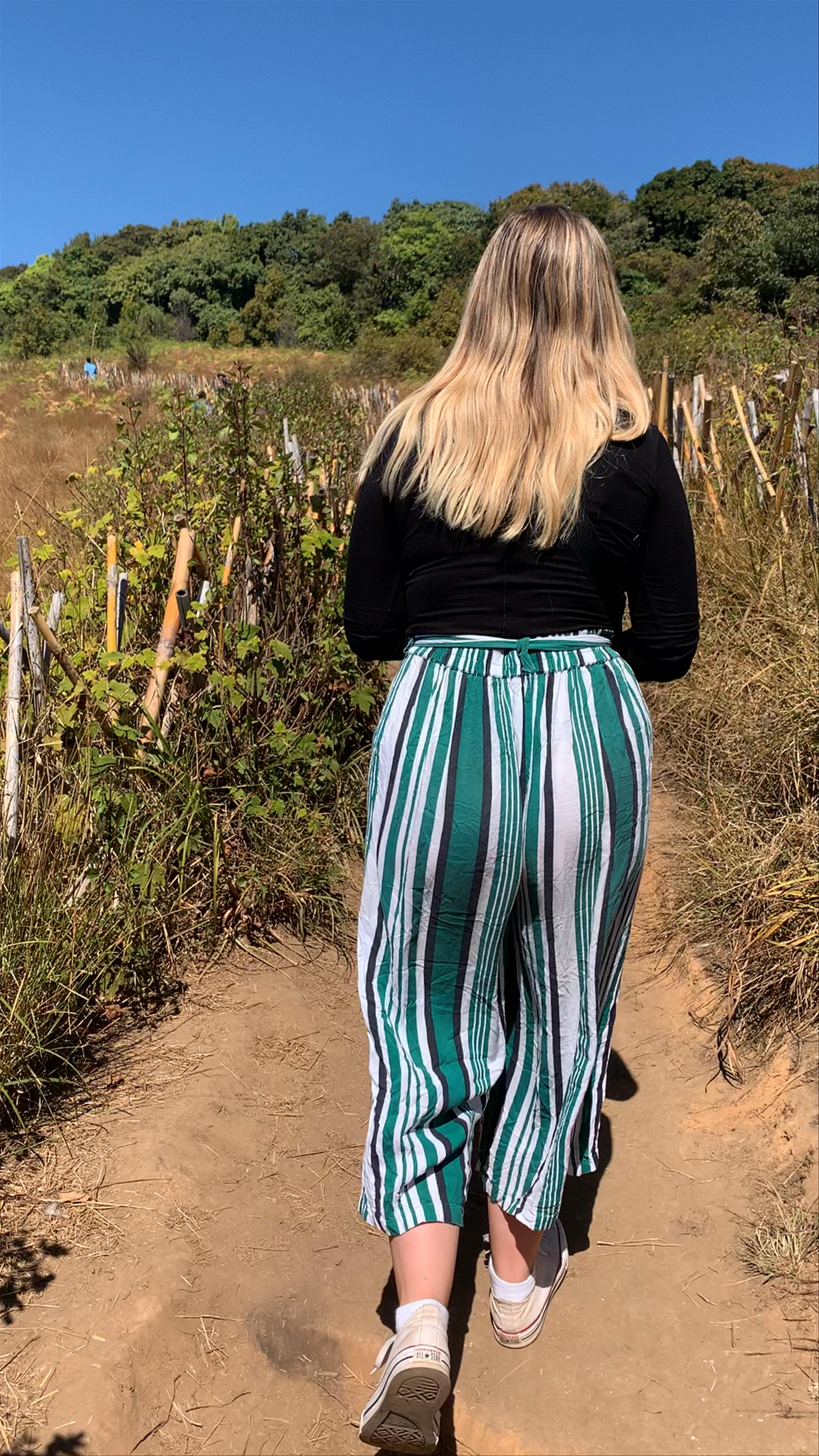 Kew Mae Pan nature trail