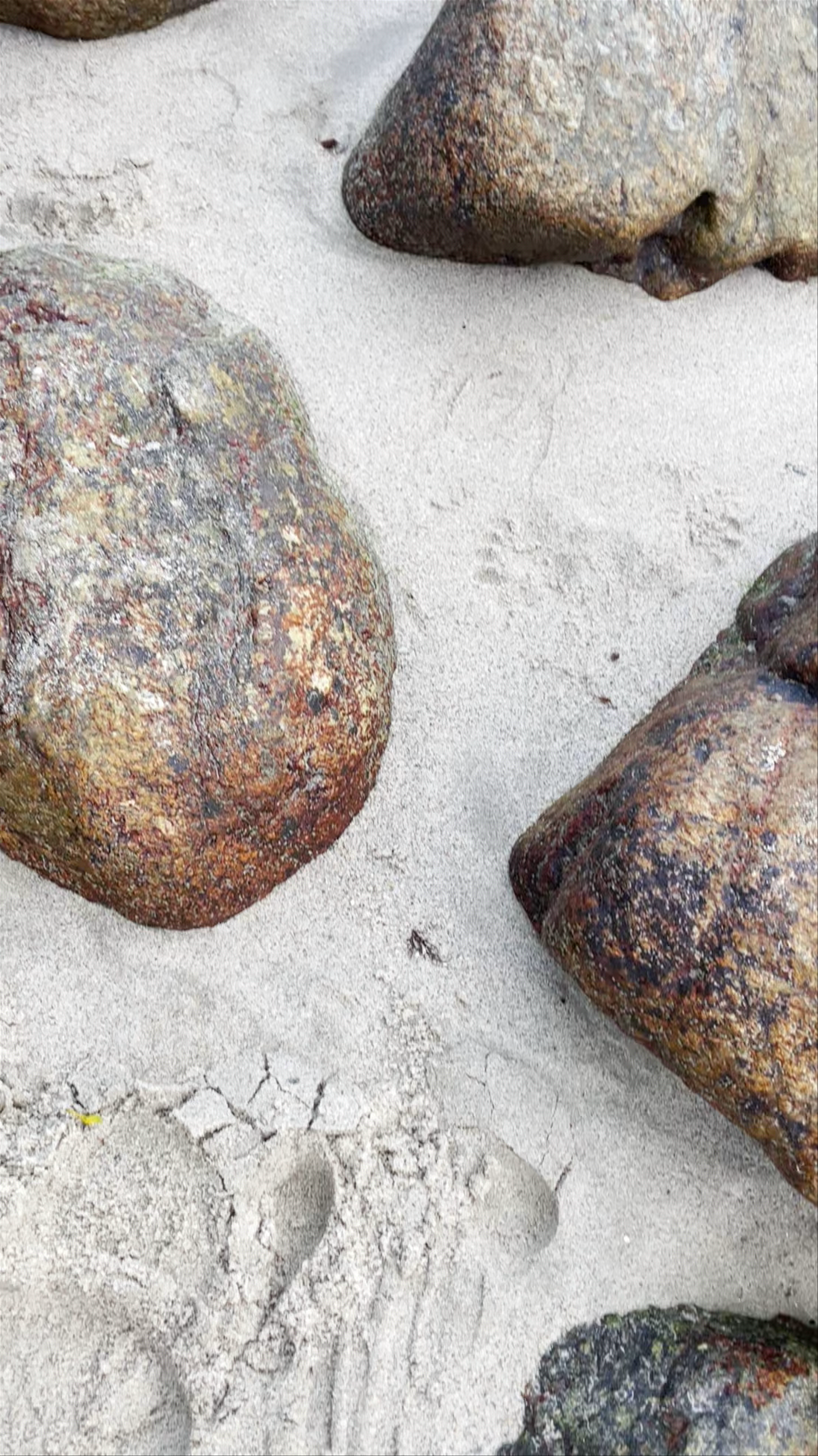 Puerto Galera Seaview Resort