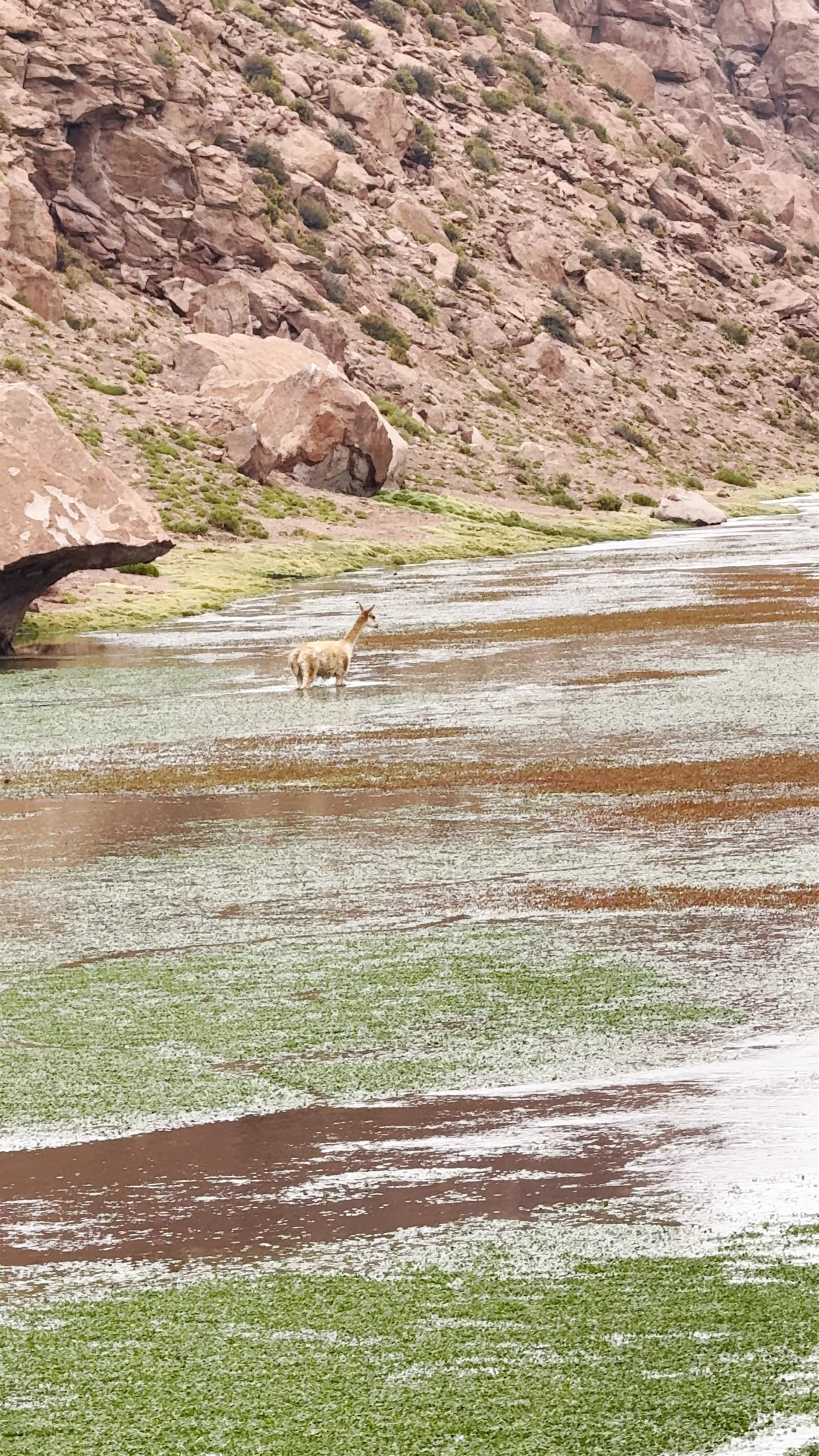 Vado Río Putana