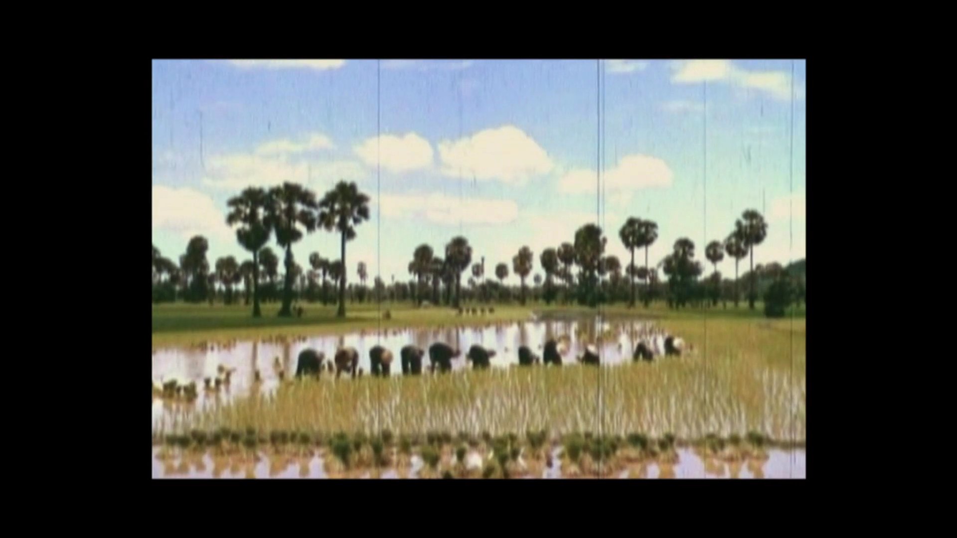 Archival film depicts children playing on a playground, agricultural labor in rural fields, and individuals walking toward the Angkor Wat temple complex. The sequence offers a historical perspective on Cambodian daily life and landmarks during the mid-1960s.