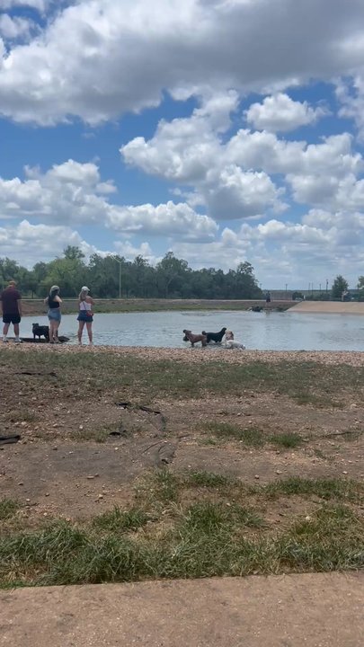 Cedar Bark Park - Fountain - Dog Parks Near Me - Cedar Park, Texas