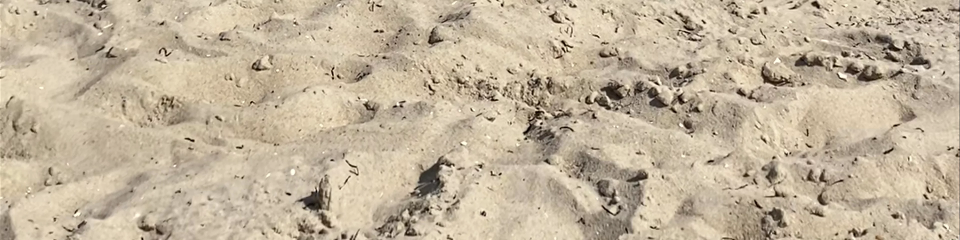 Long Beach Island