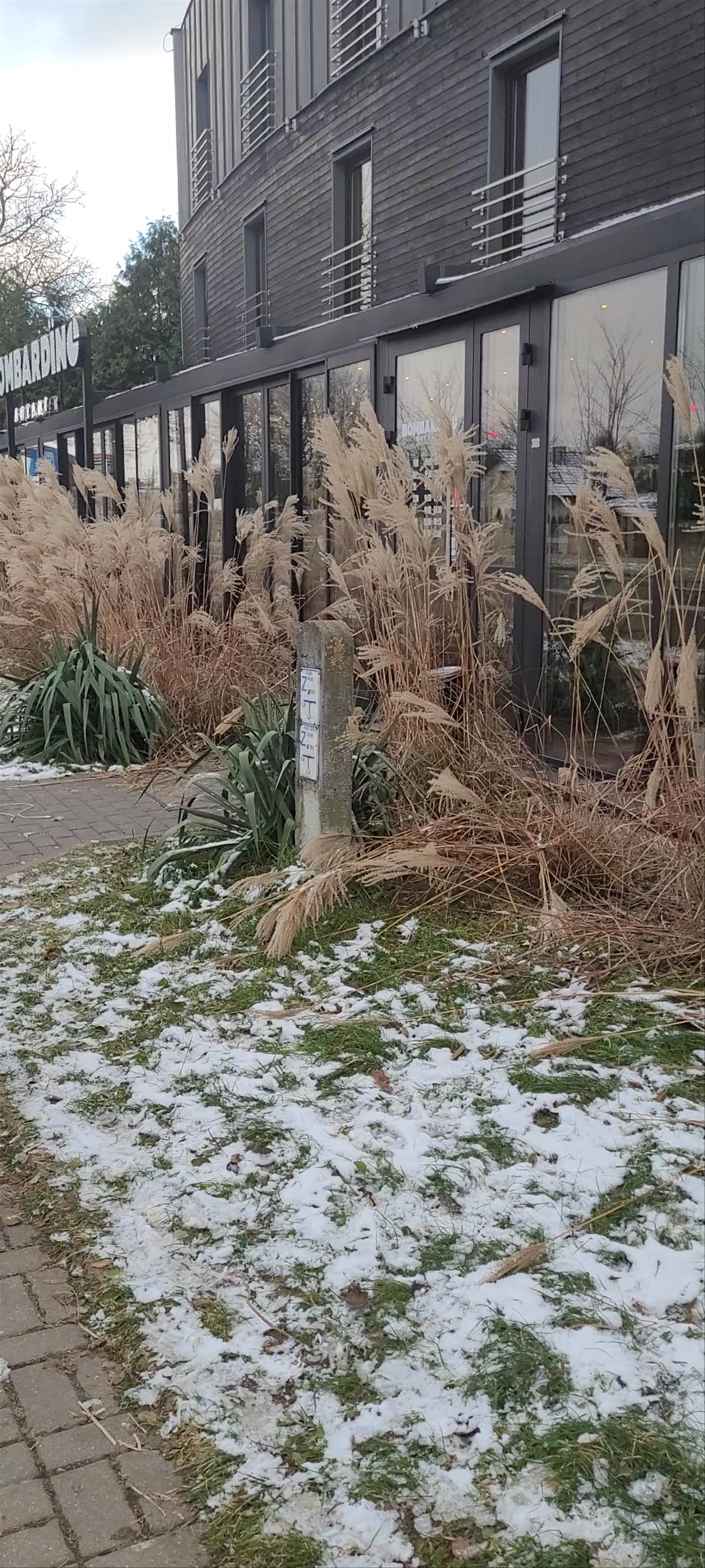 Bombardino Trattoria