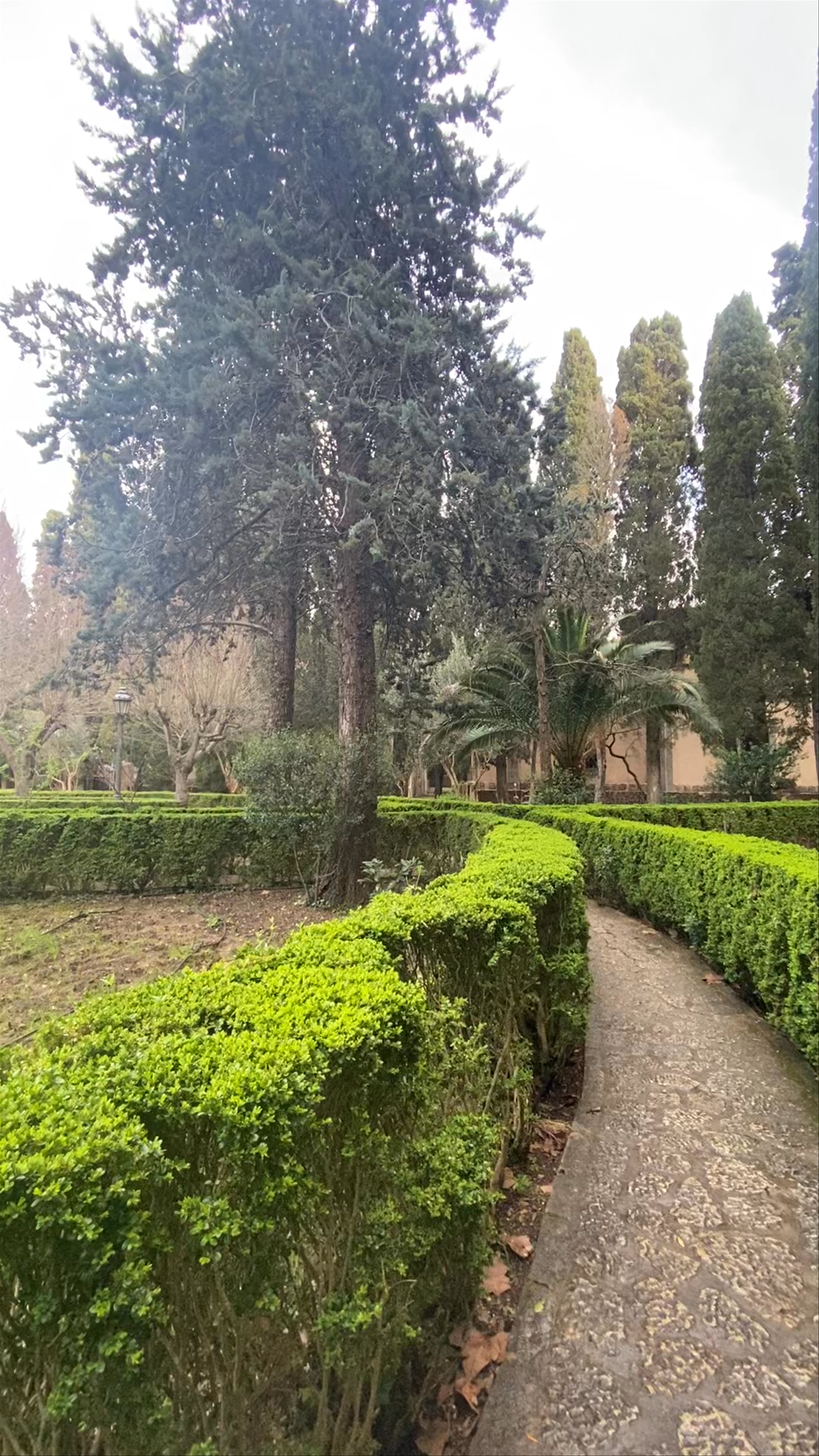 Jardins Rei Joan Carles: Serene Garden Escape in Valldemossa