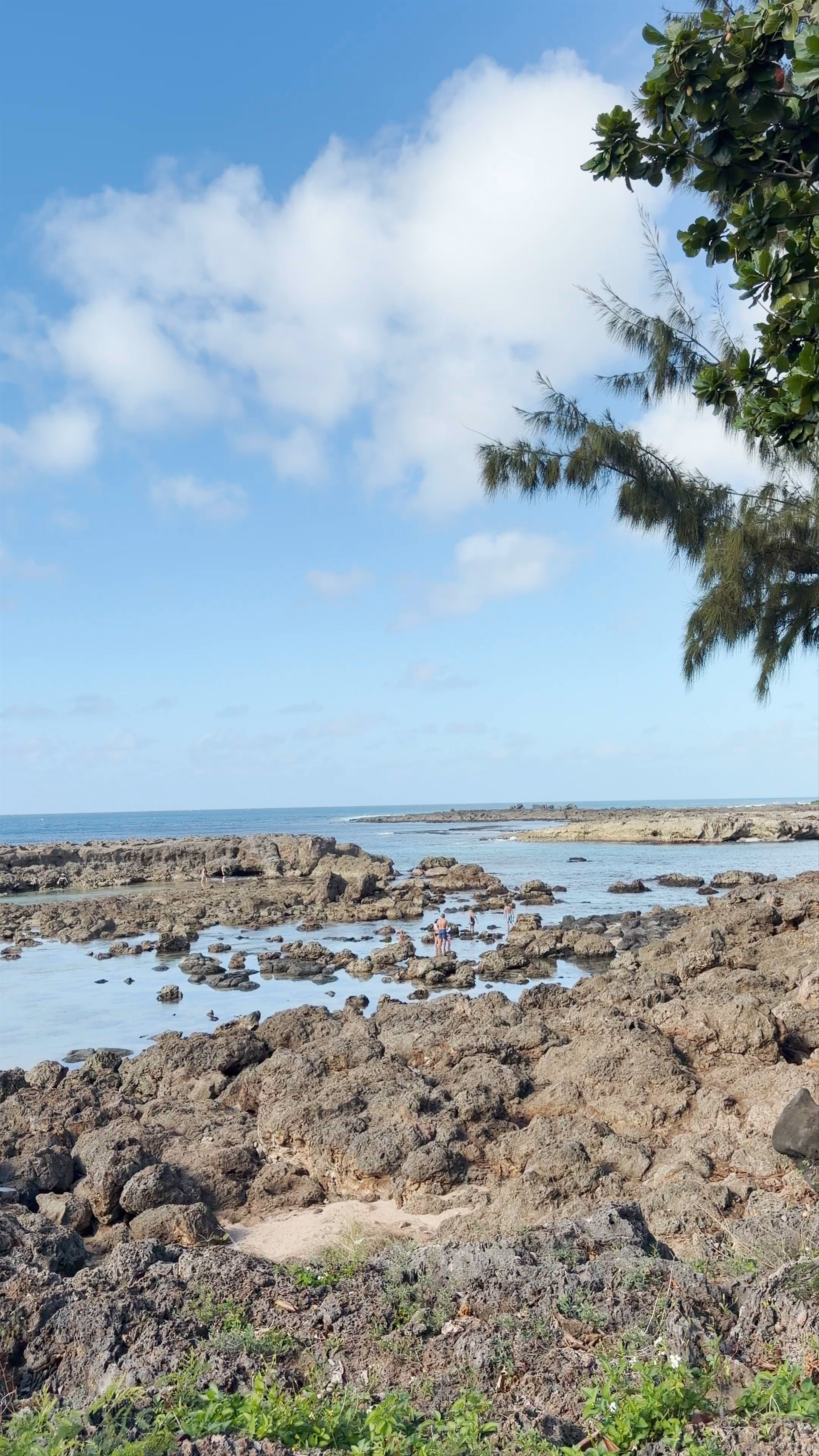 Pūpūkea Beach Park