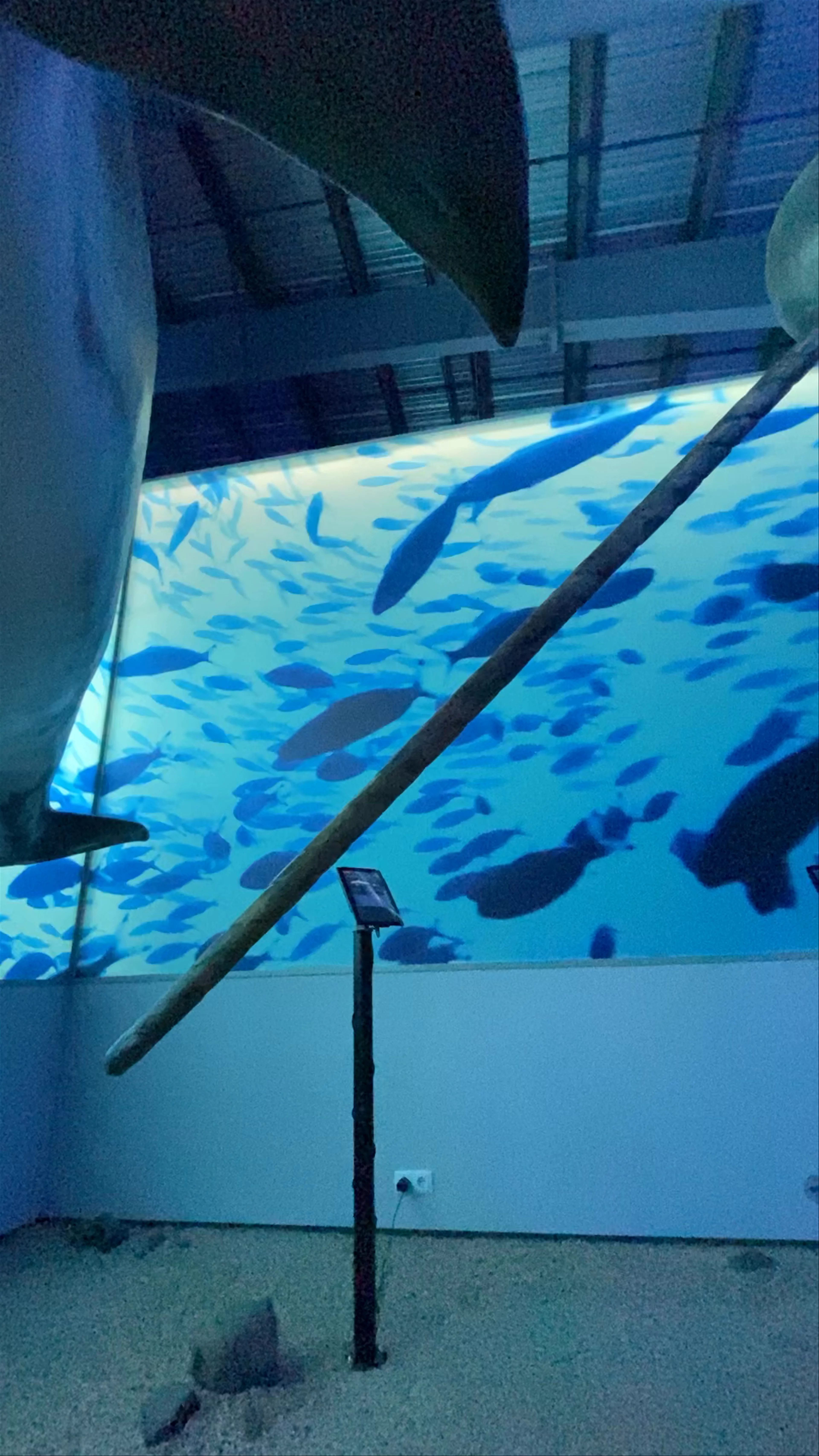 Whales of Iceland, Reykjavík, Iceland