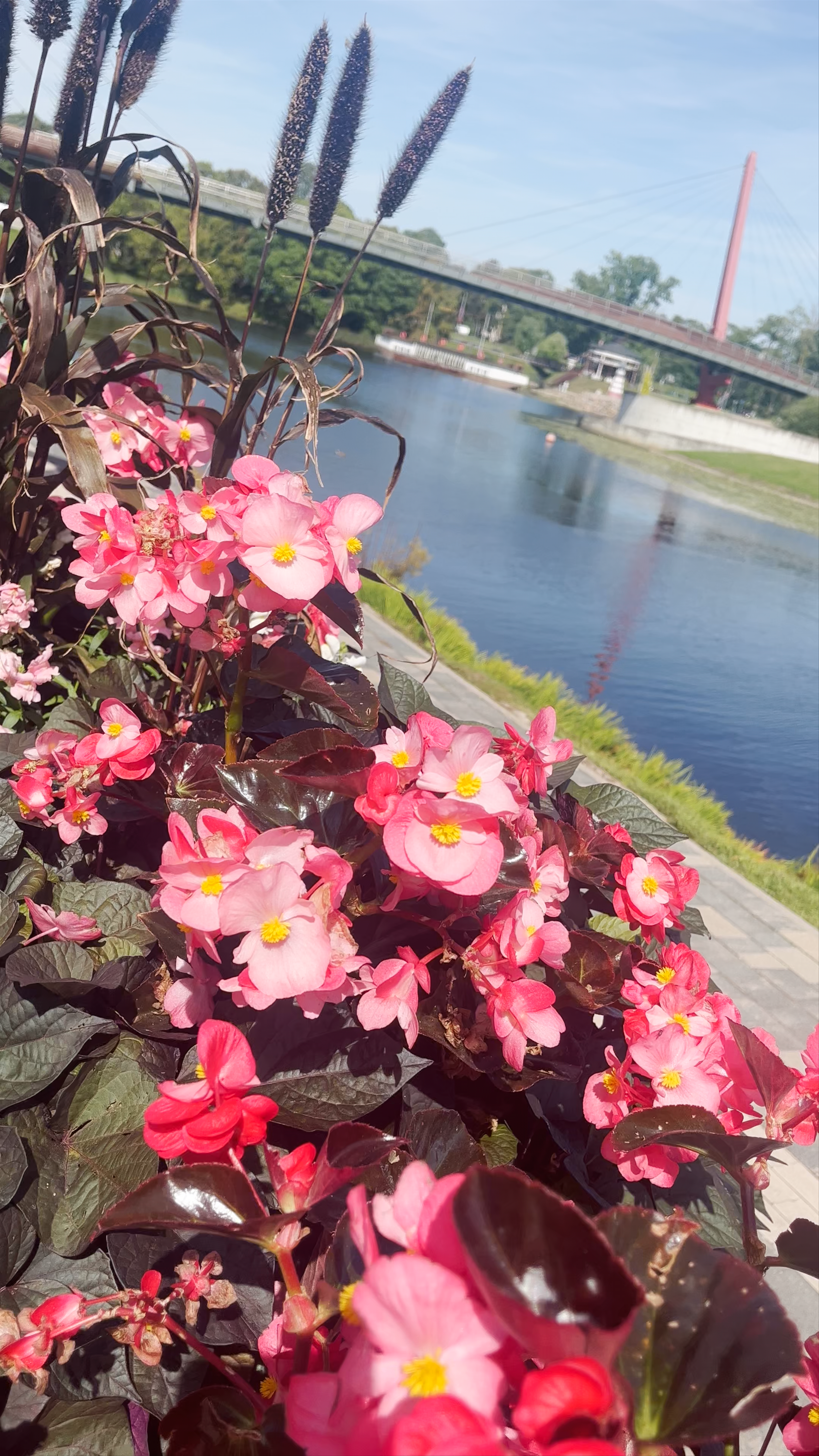 Driksas Promenāde Riverside Walk in Jelgava, Latvia