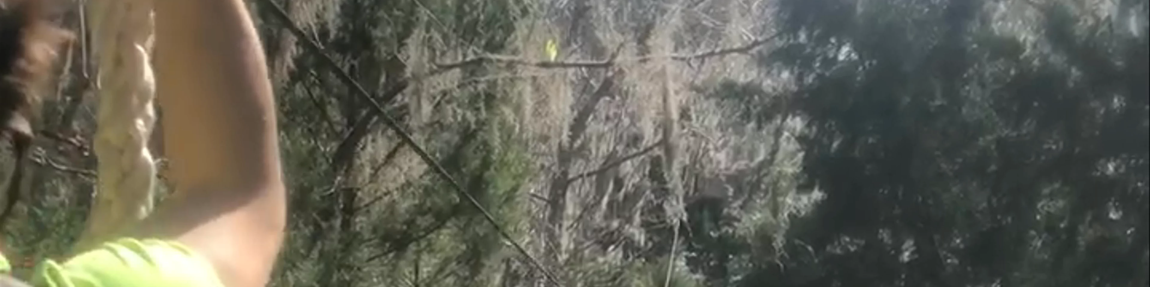 Sky Trek Ziplining