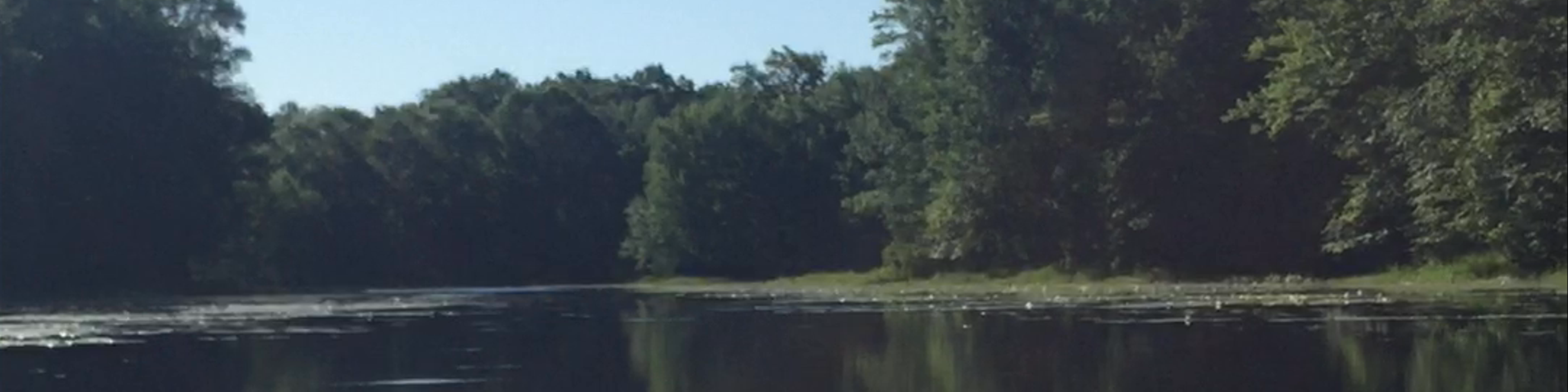 Rice Lake