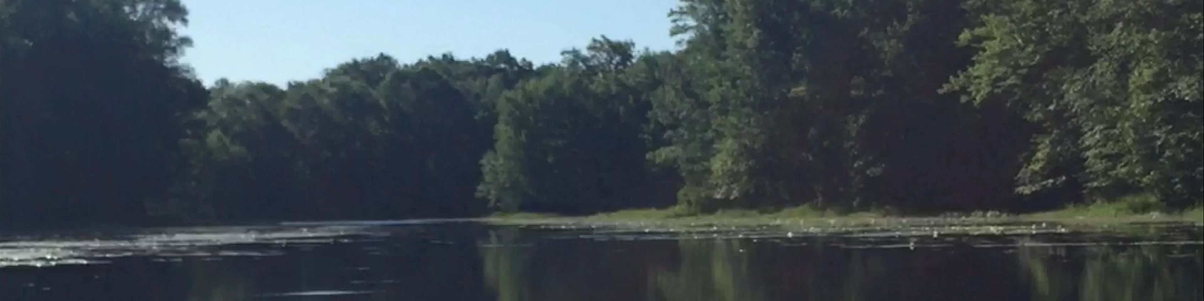 Rice Lake