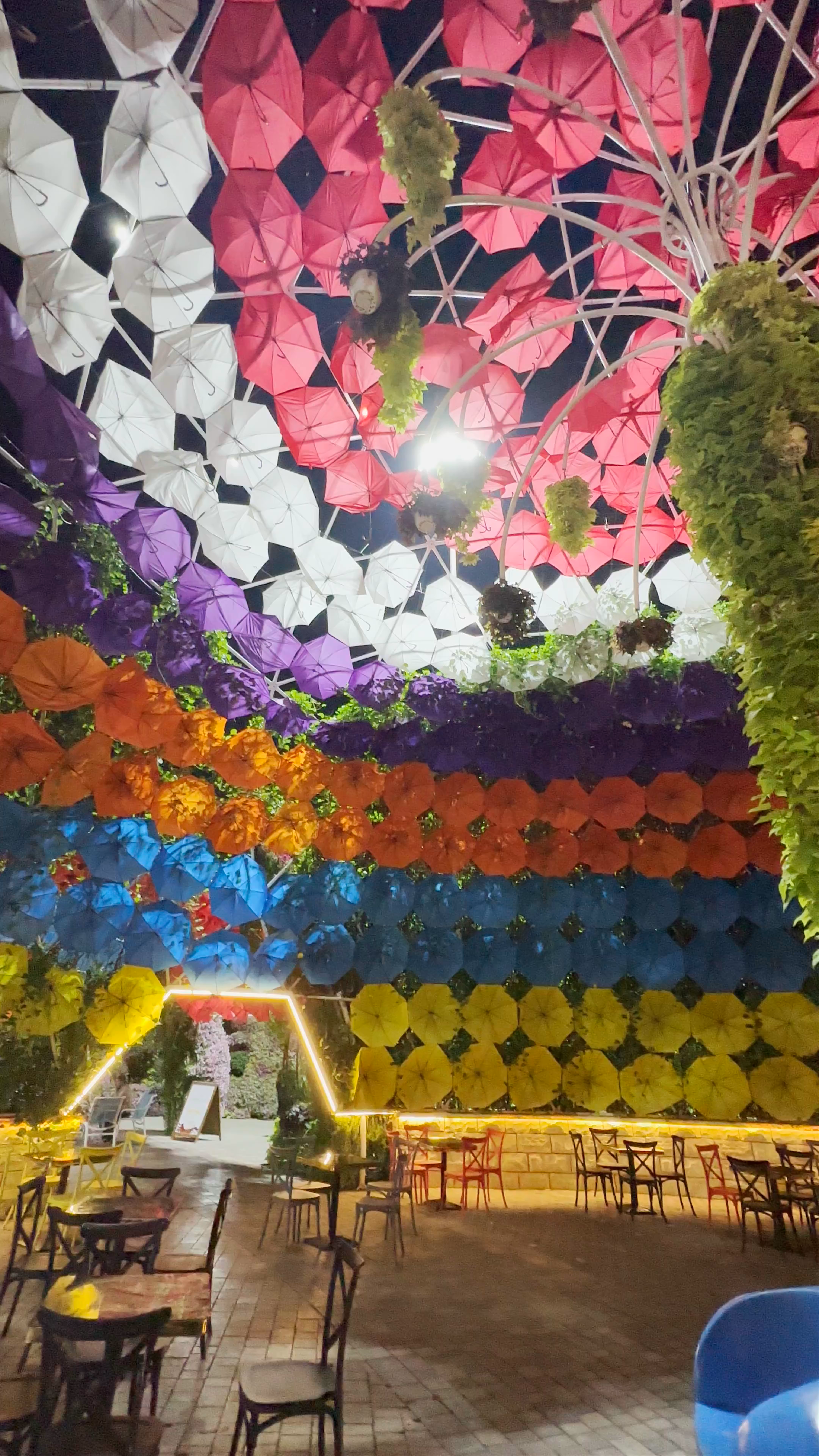 Miracle Garden Dubai: A Night of Magical Colors and Canopies