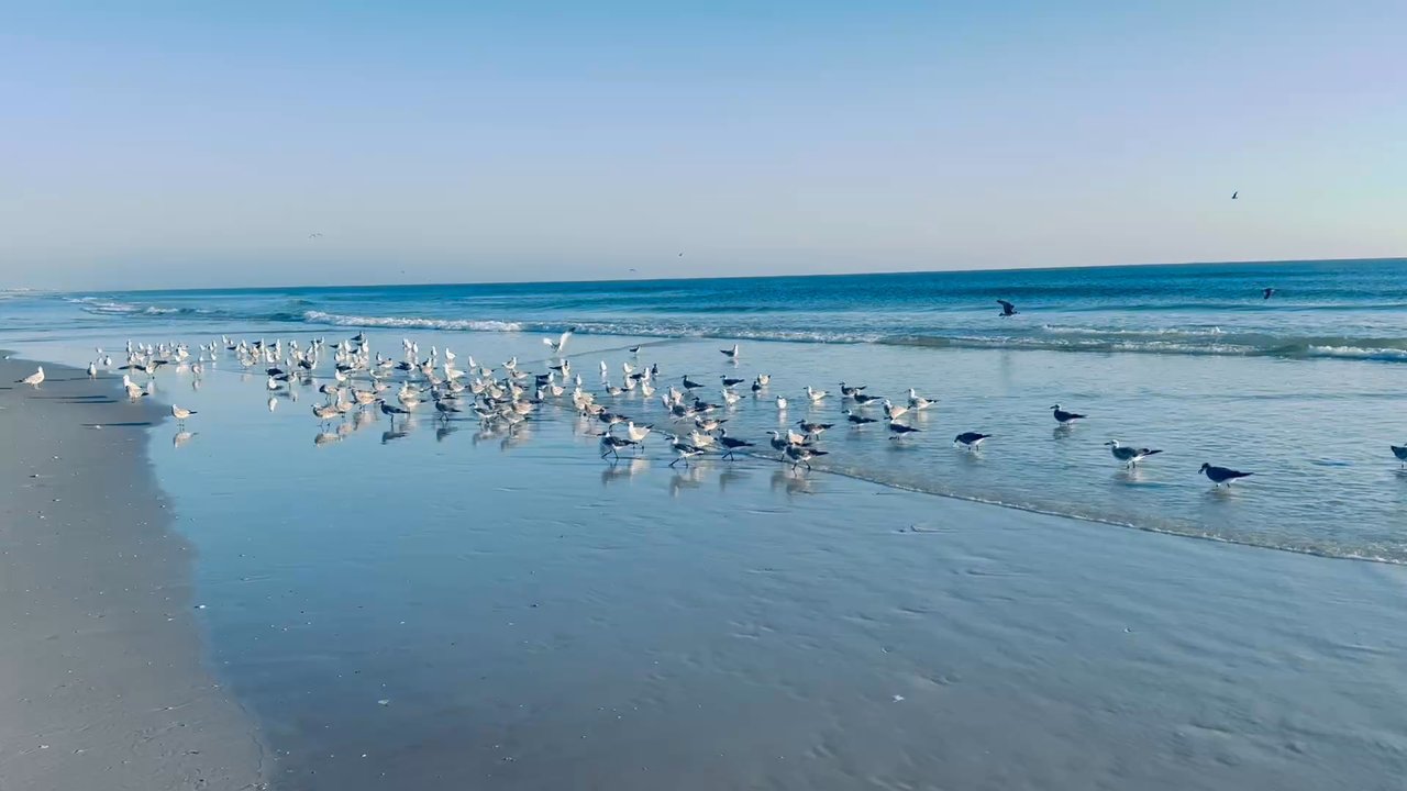BUTLER BEACH - Updated July 2026 - 85 Photos & 15 Reviews - 5633 A1A S ...