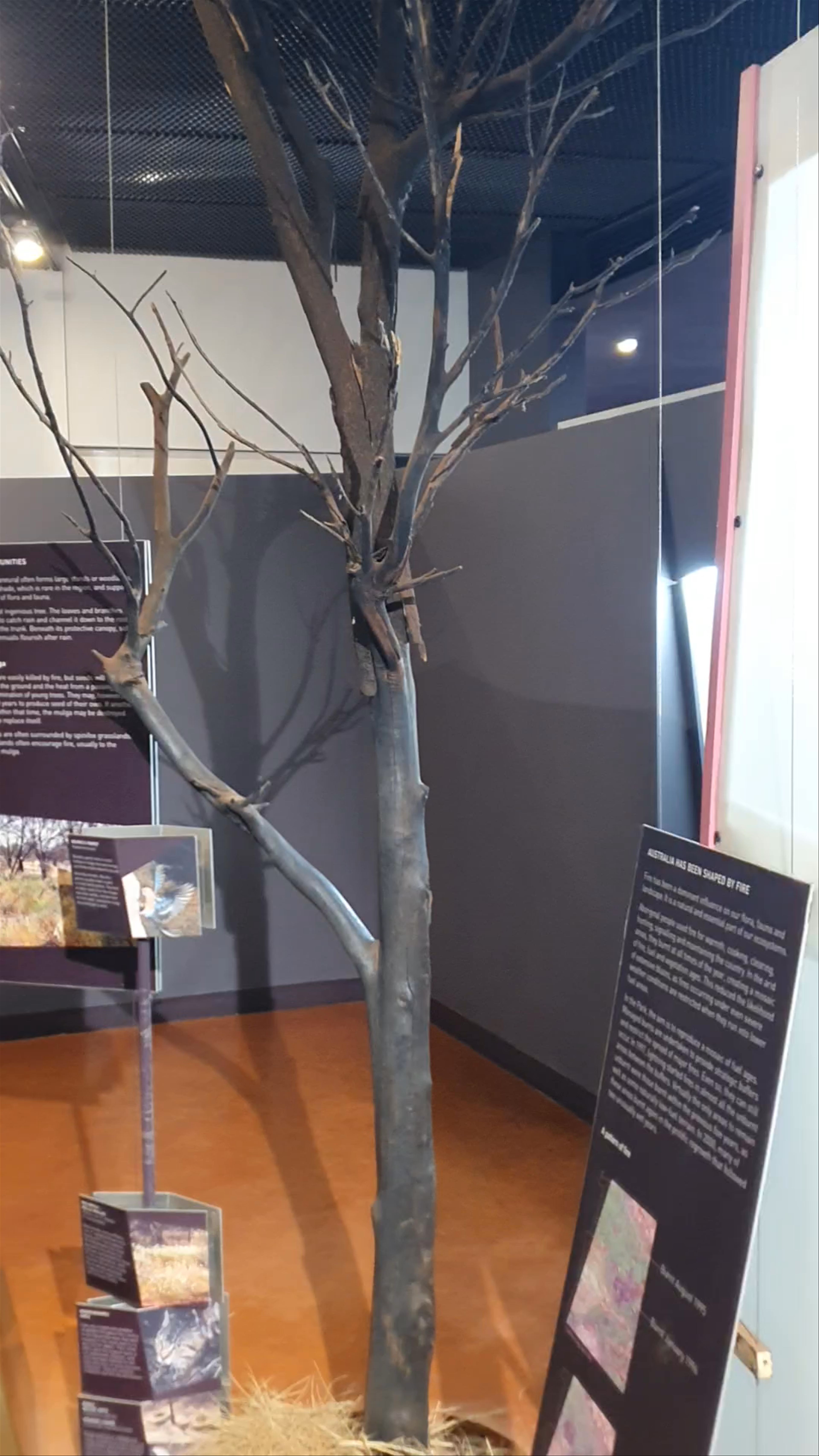 Karijini Visitor Centre: Journey Through Western Australia's Natural History