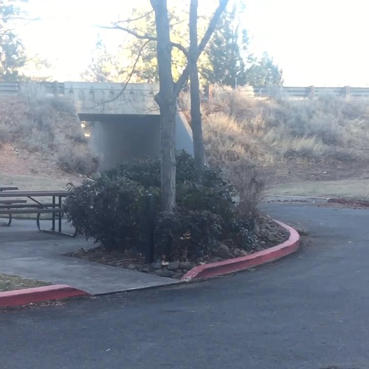 Crystal Peak Park - 13. Jan. 2018. Welcoming committee on a cold winter morning. - Parks Near Me - Reno, Nevada
