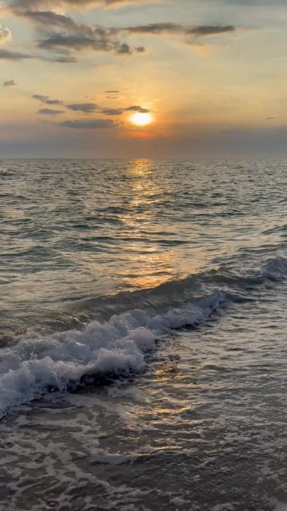 Turtle Beach - Beaches Near Me
