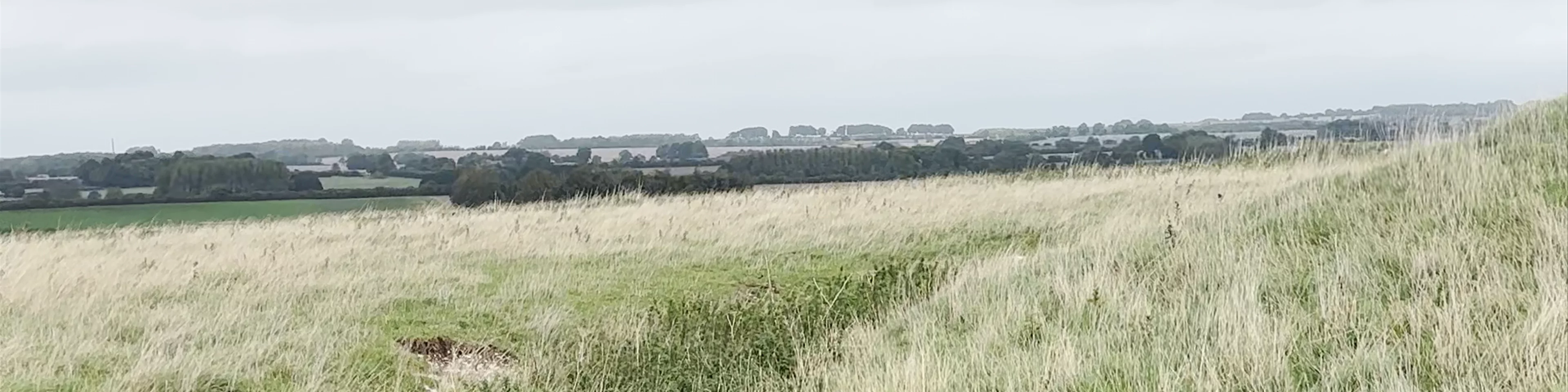 National Trust Windmill Hill