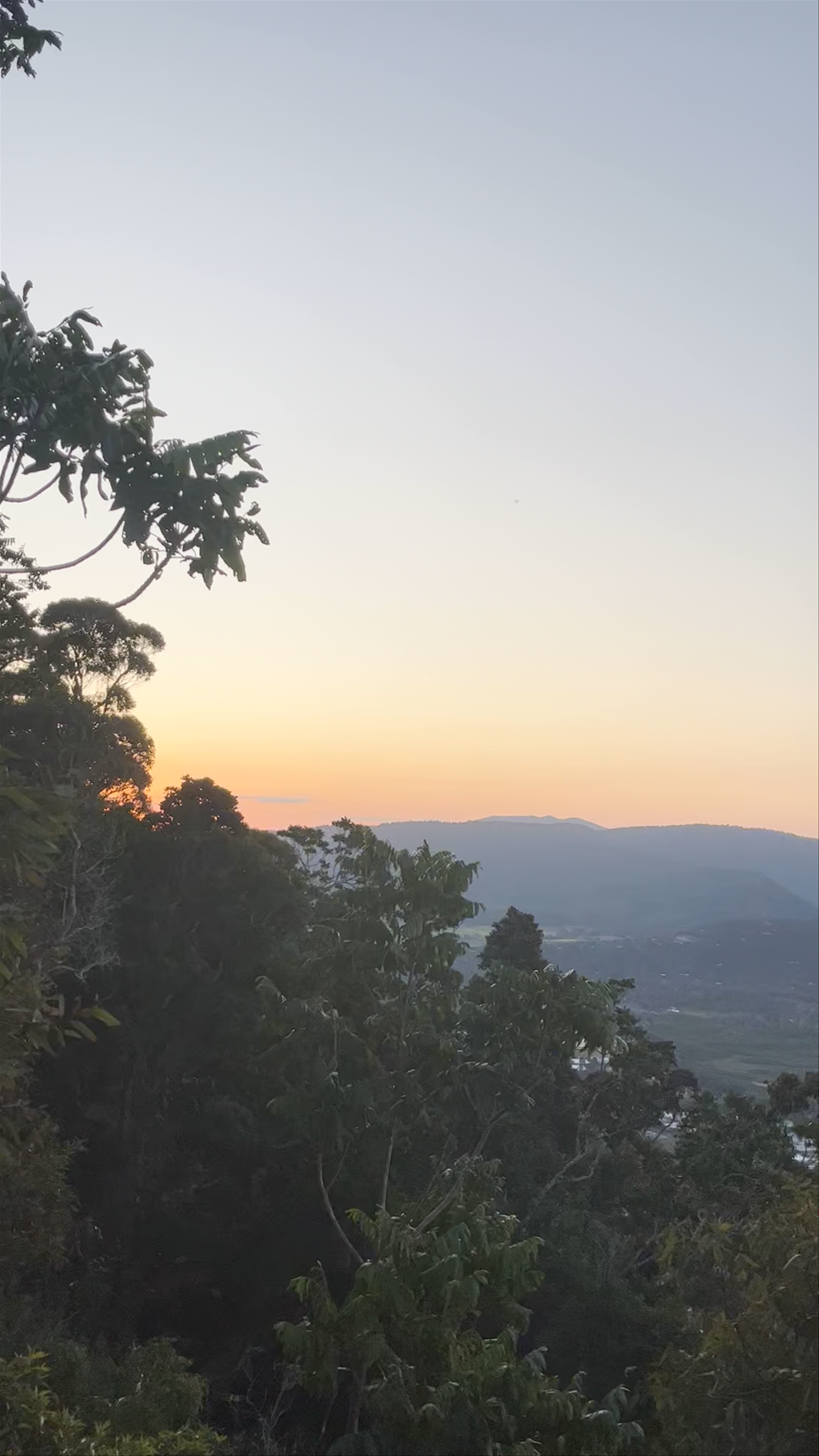 Honeyeater Lookout Trail (Airlie Beach Lookout)
