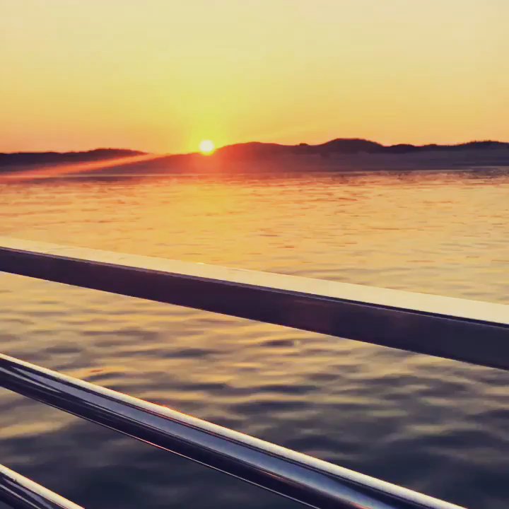 Barnstable Harbor Ecotours - Amazing sunset tour! Highly recommend - Tours Near Me - Barnstable, Massachusetts