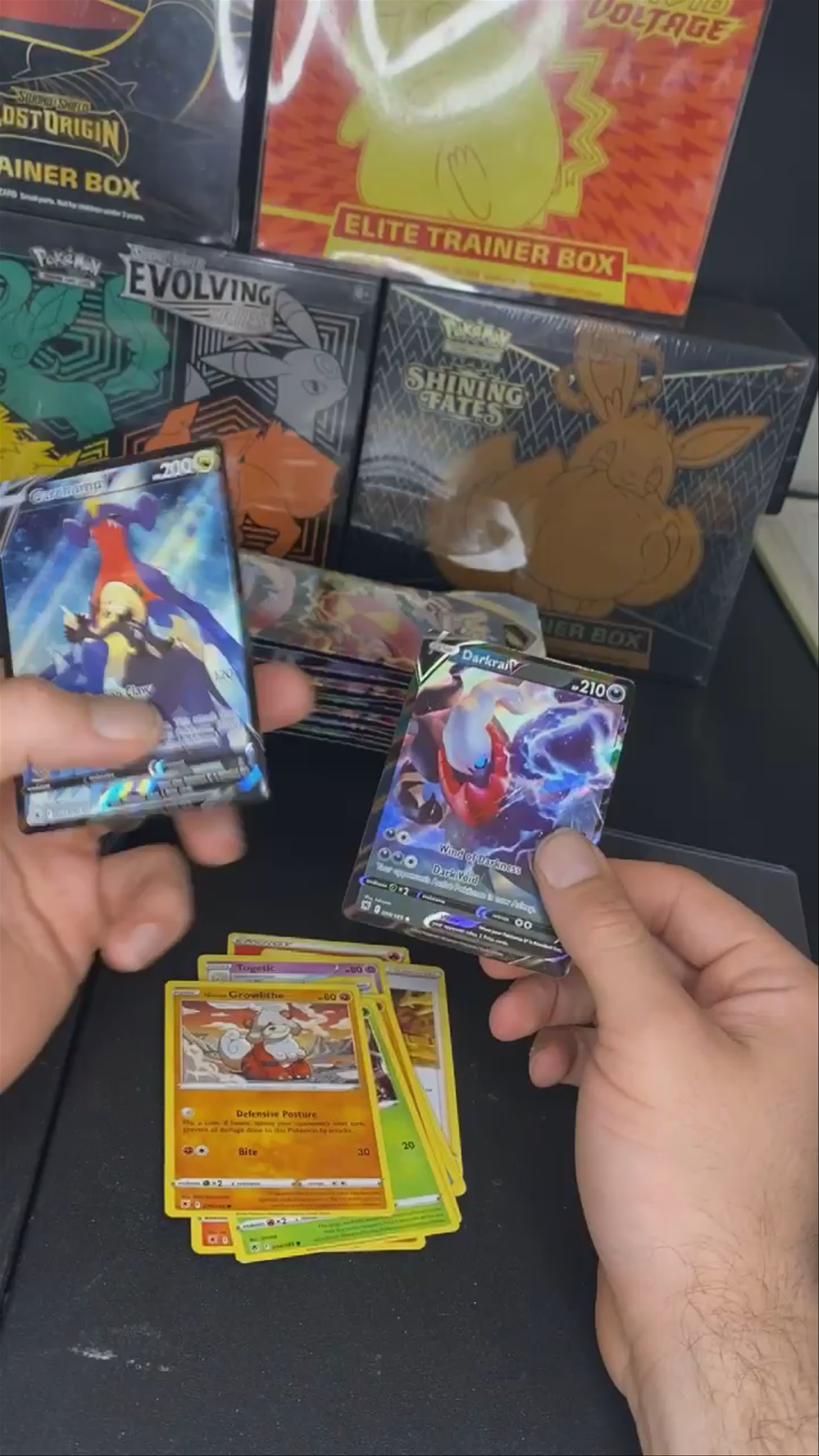 Garchomp tg!!!