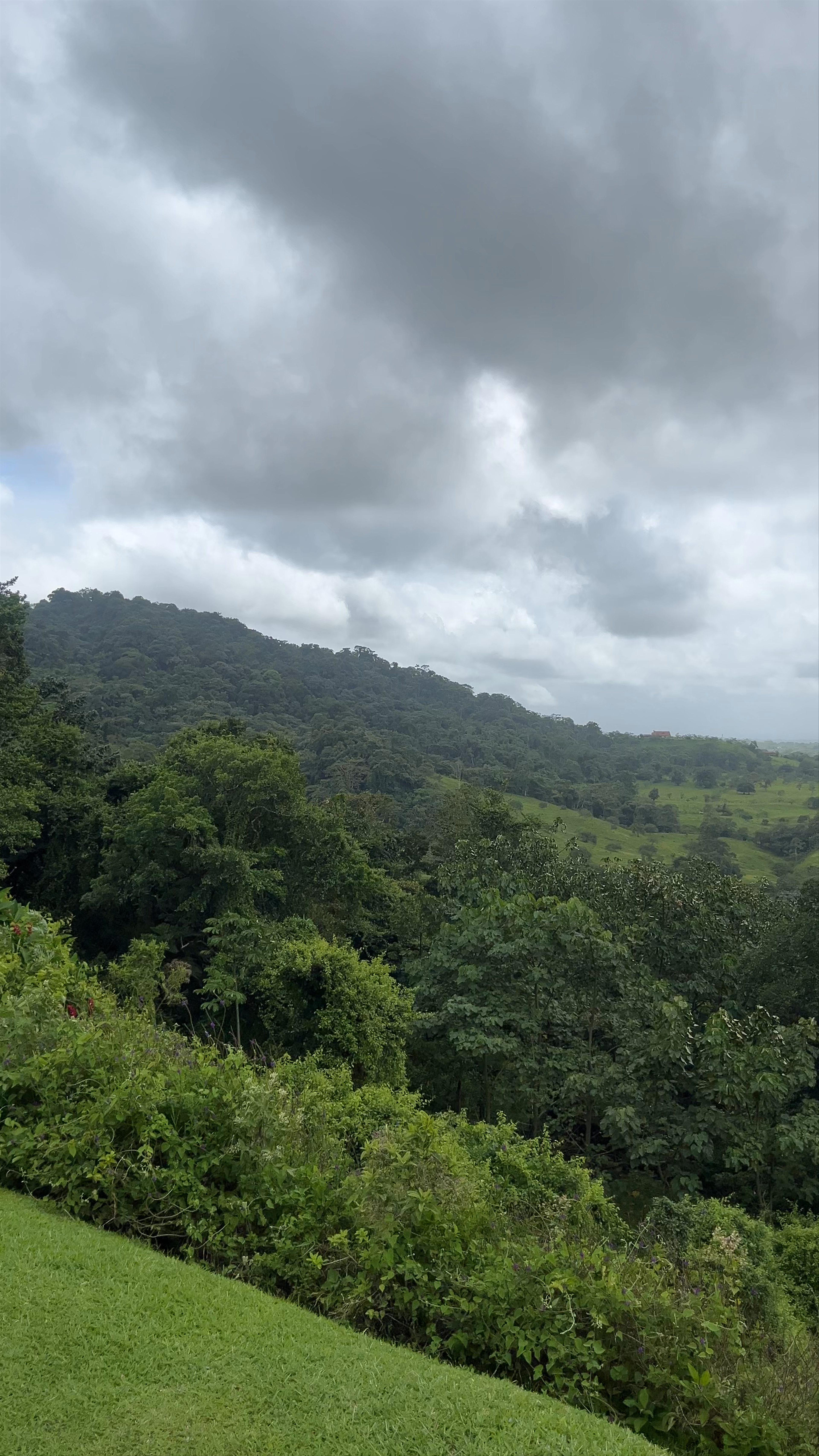 Místico Park Arenal Hanging Bridges