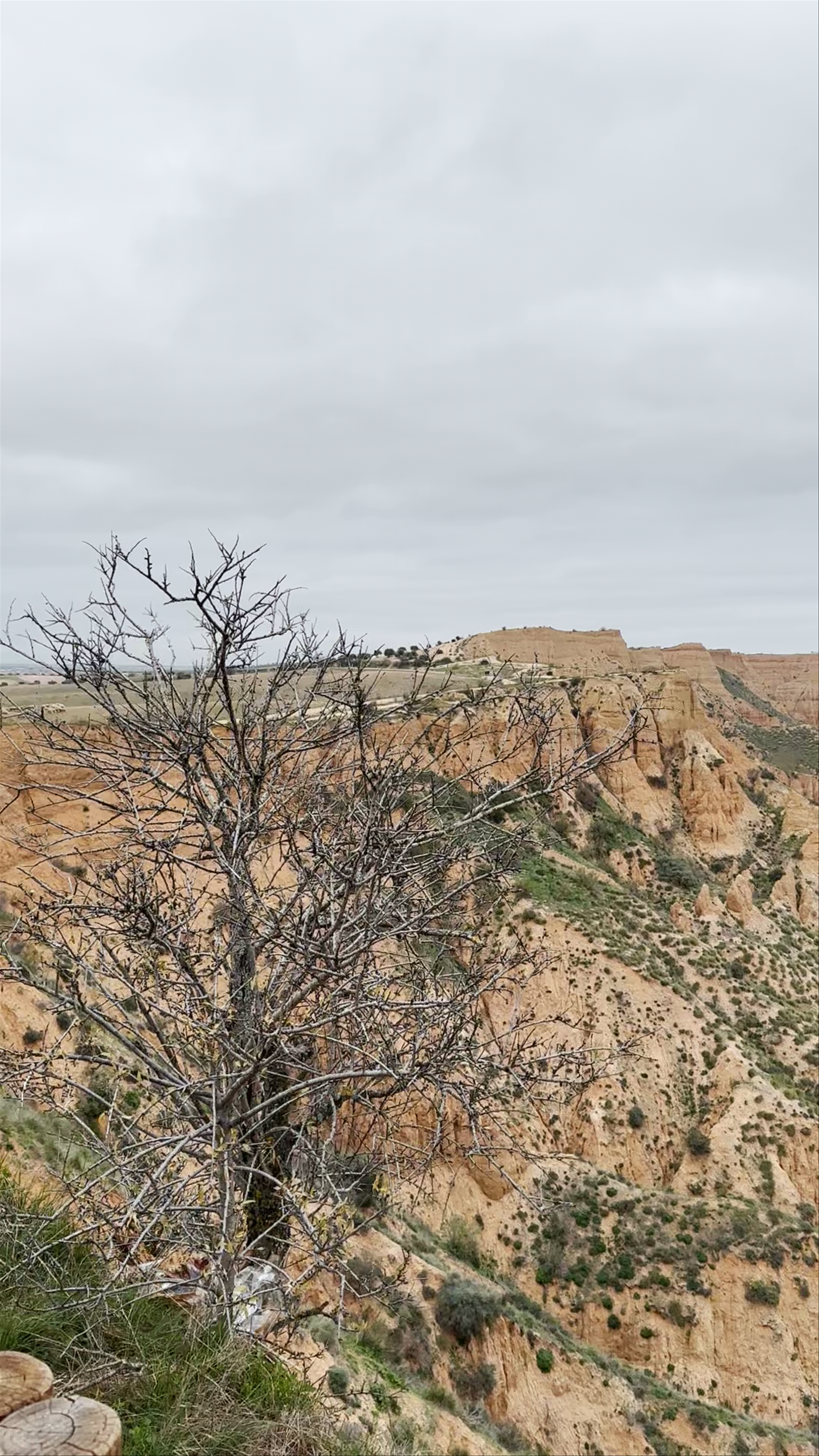 Mirador del Cambrón