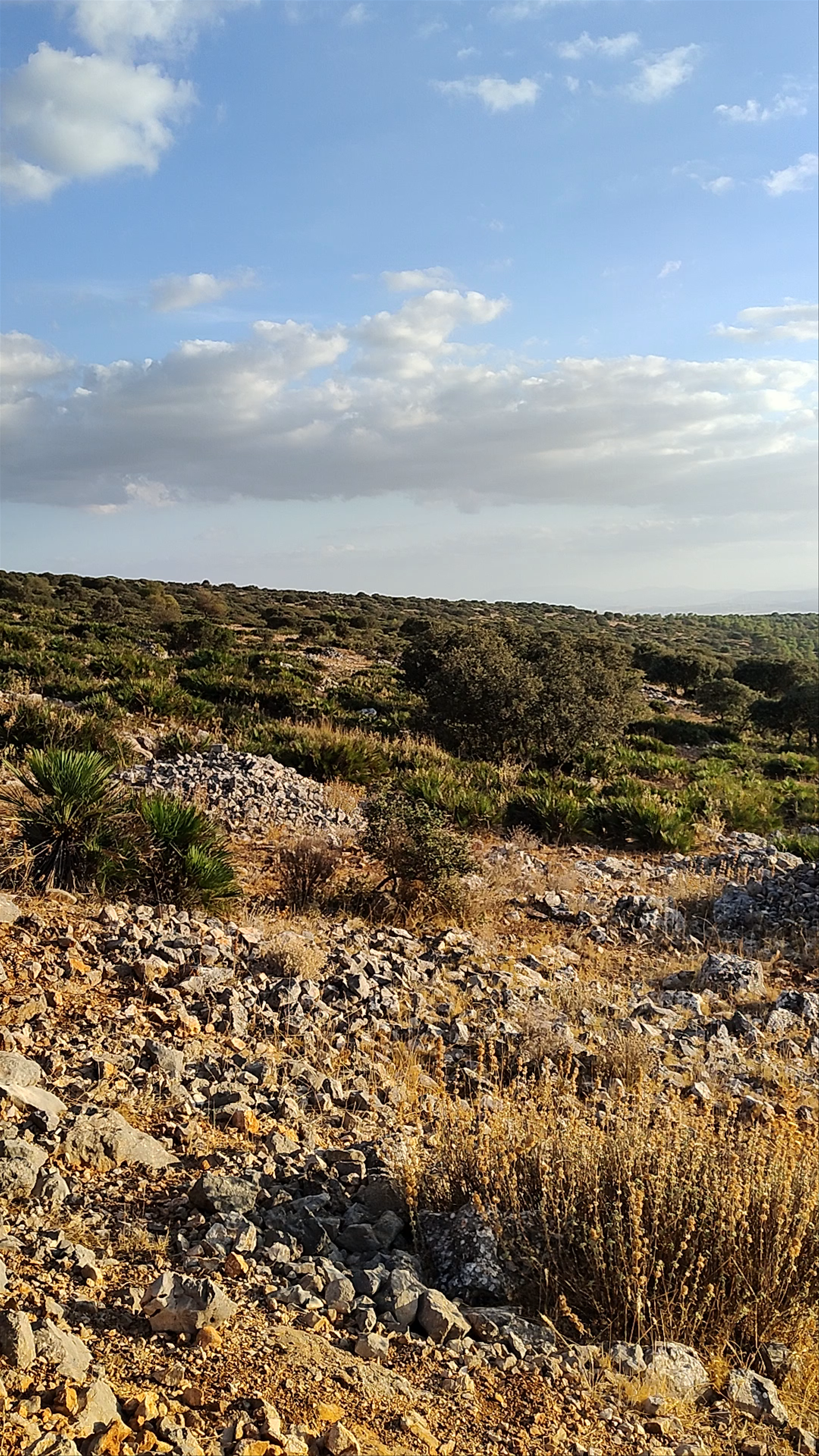 Las Antenas de Estepa