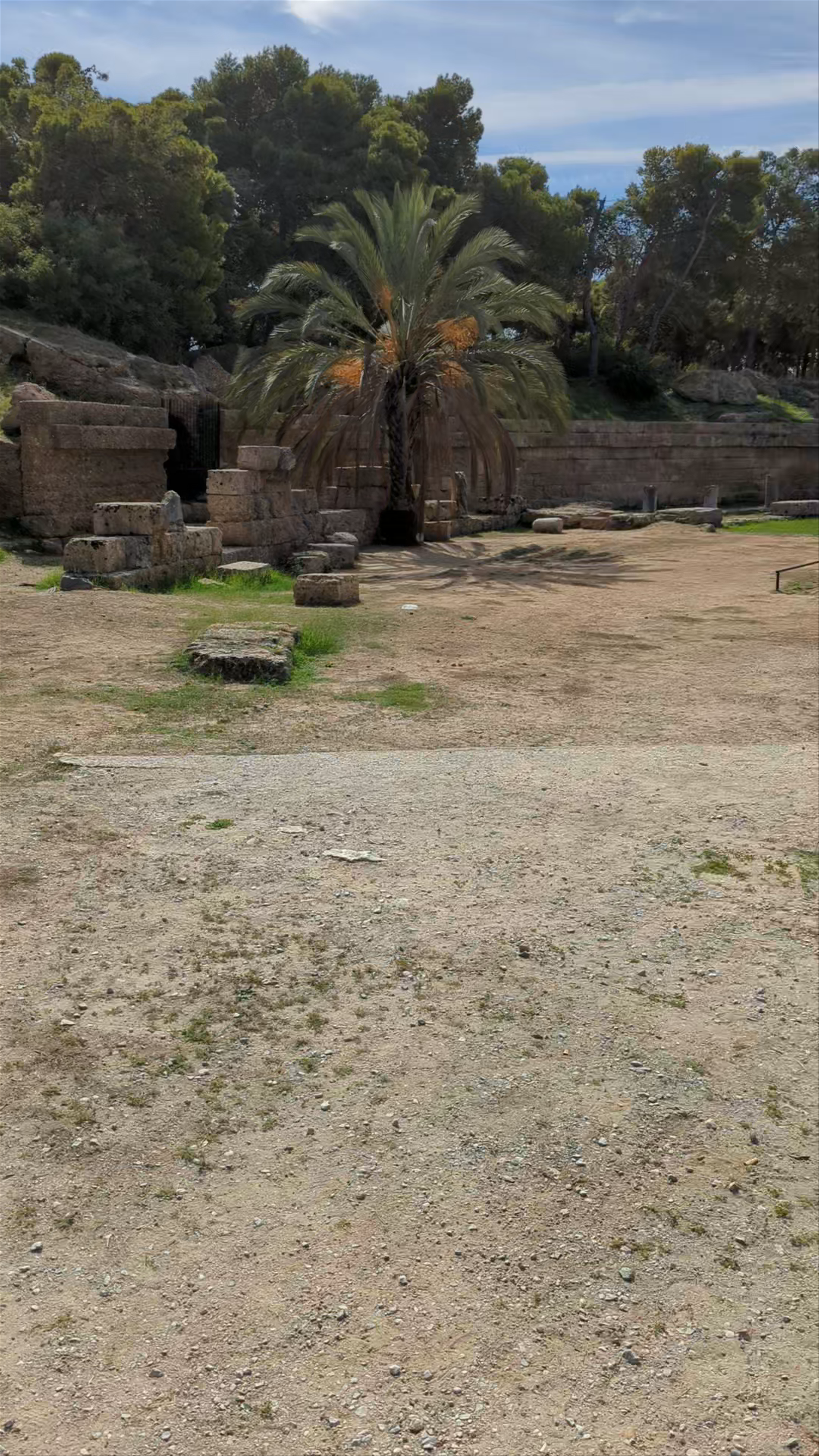 Amphithéâtre de Carthage