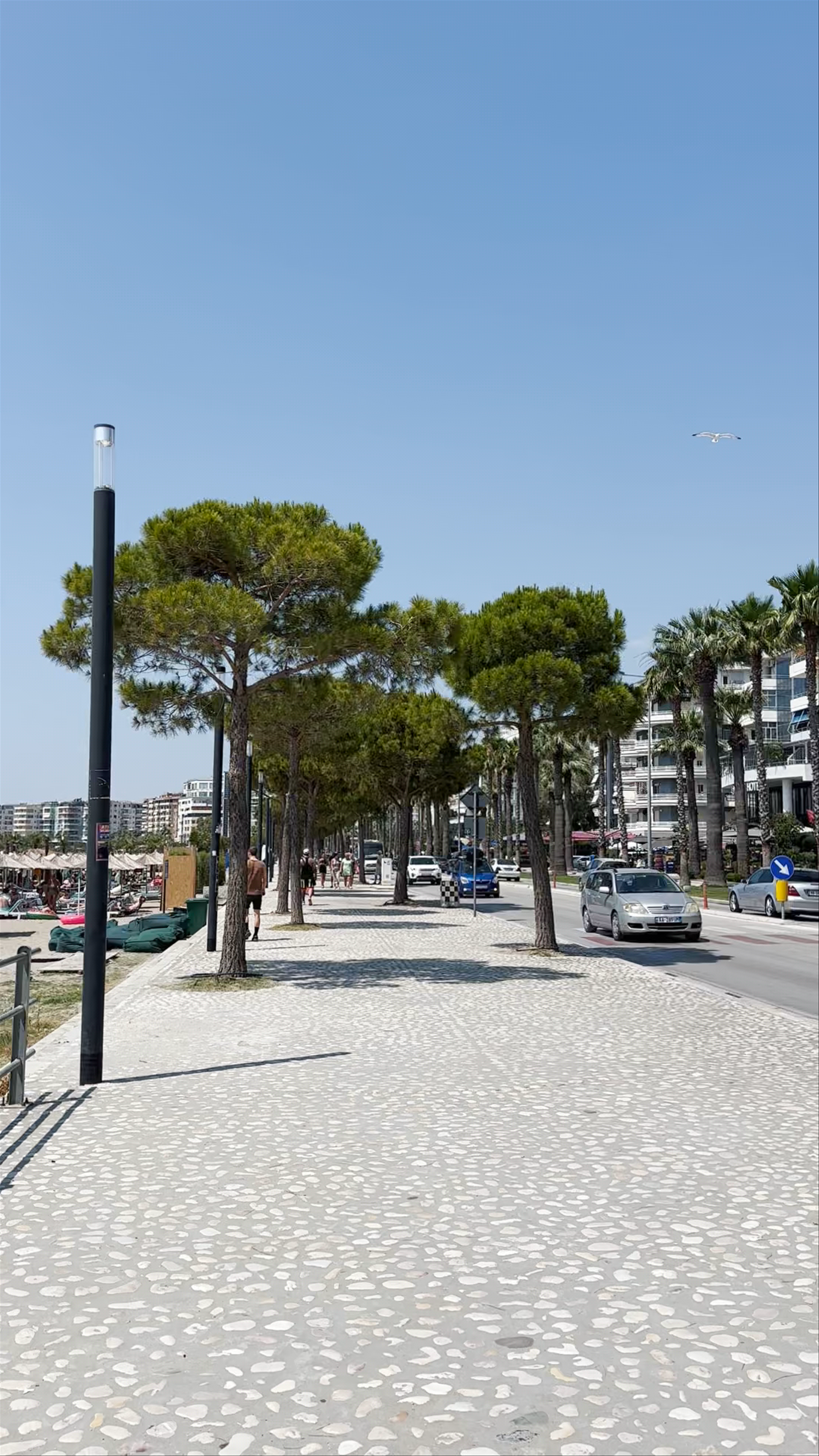 Plazhi MonteCarlo