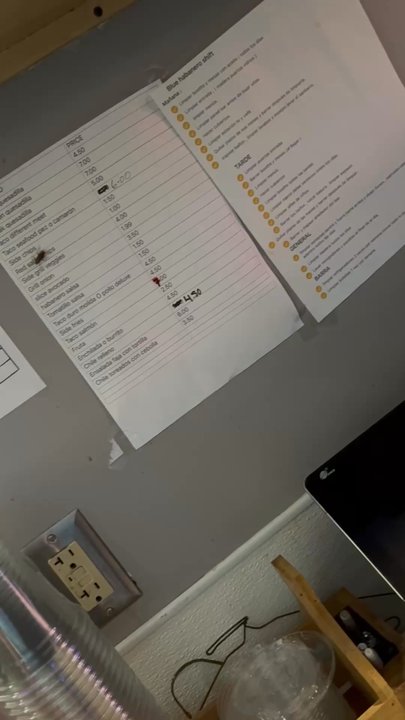 Blue Habanero - Roach crawling on the schedule - Mexican Near Me - Canton, Ohio