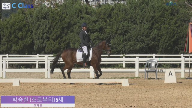 박승현 (초코뷰티) — 2026년 은퇴경주마 품평회 및 승마대회 결승 · 마장마술 C Class