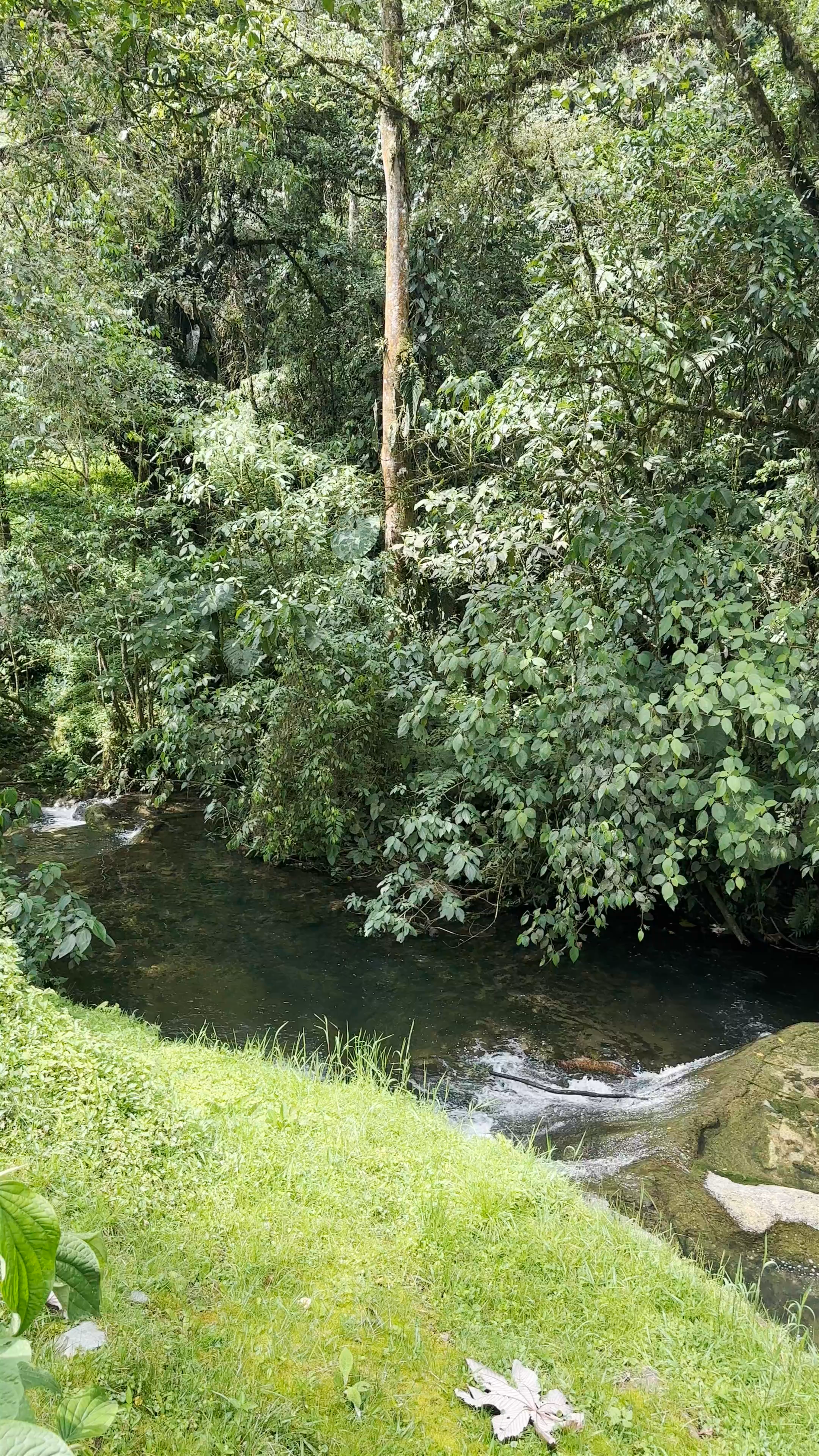 Thermal Springs Escape at Termales Santa Rosa de Cabal, Colombia