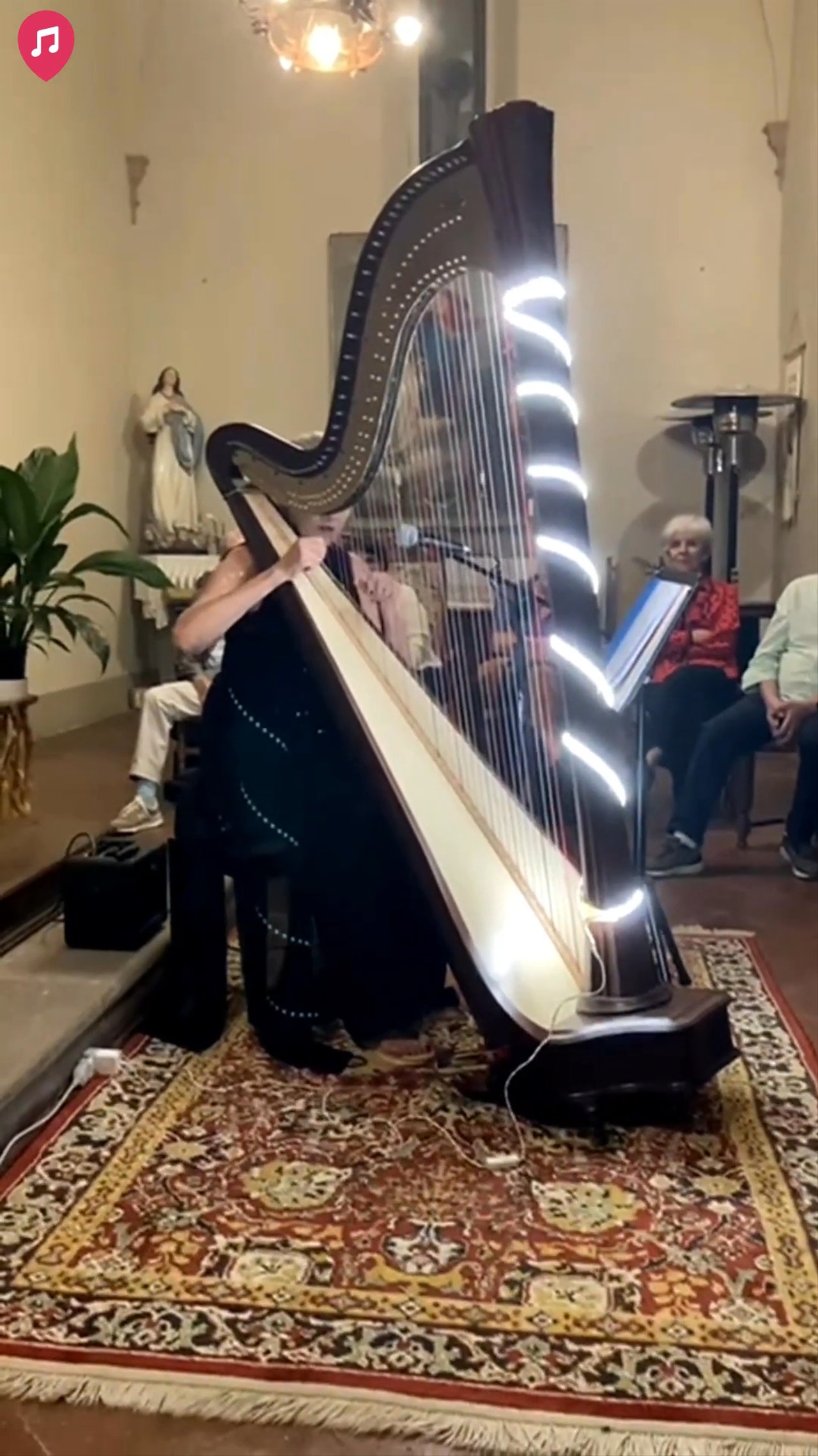 Siena Harpist & Singer - Promo 2026 - video