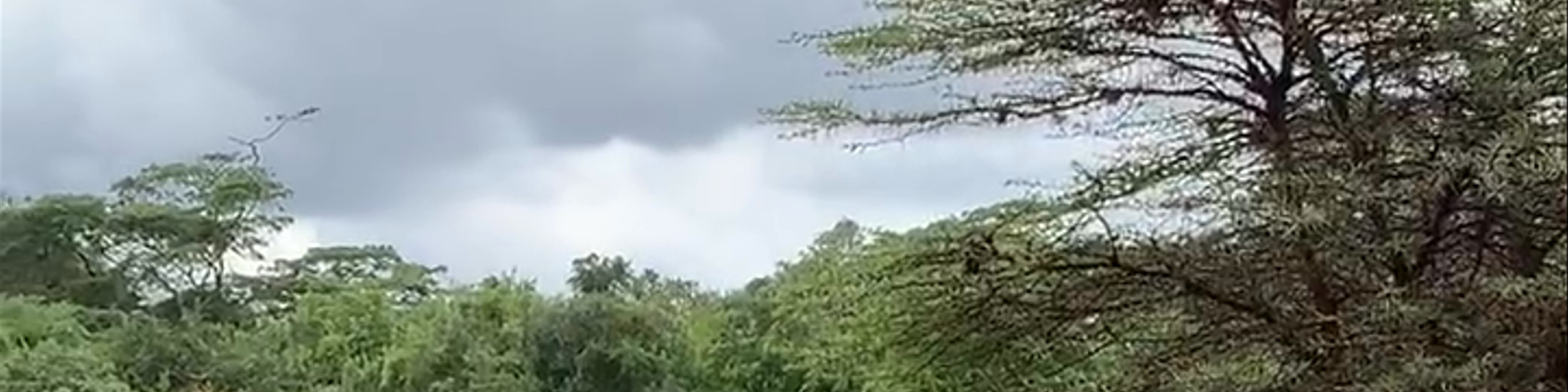 Nairobi