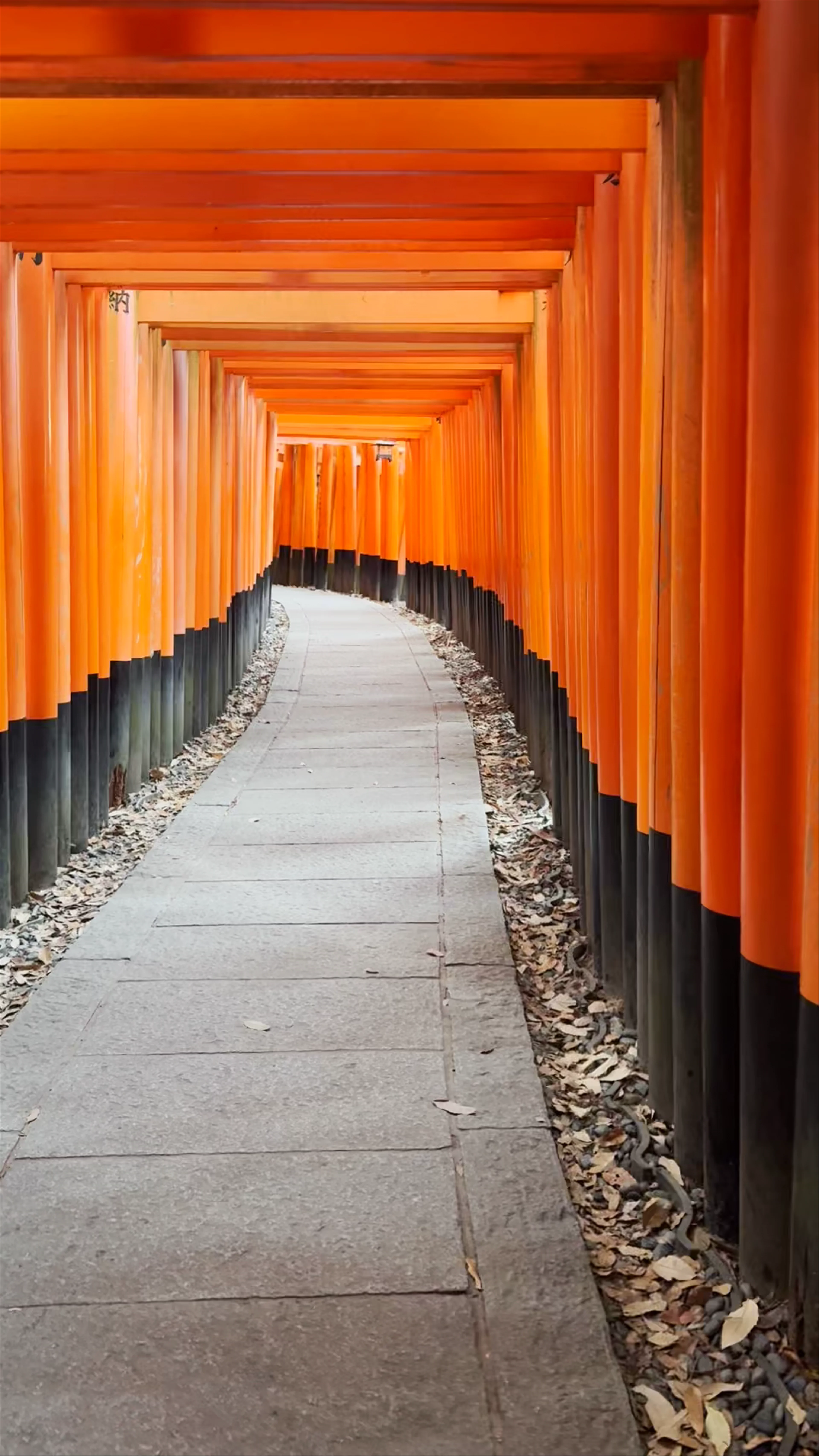 Fushimi Inari Taisha, 68 Fukakusa Yabunouchichō, Fushimi Ward, Kyoto, Japan