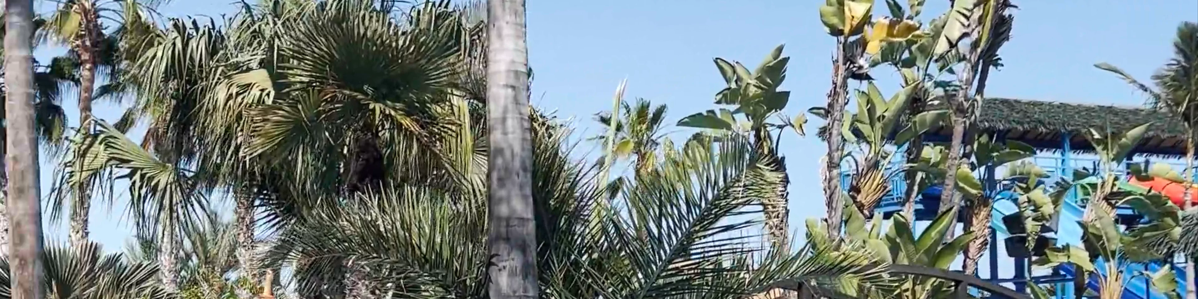 Camping & Resort La Marina